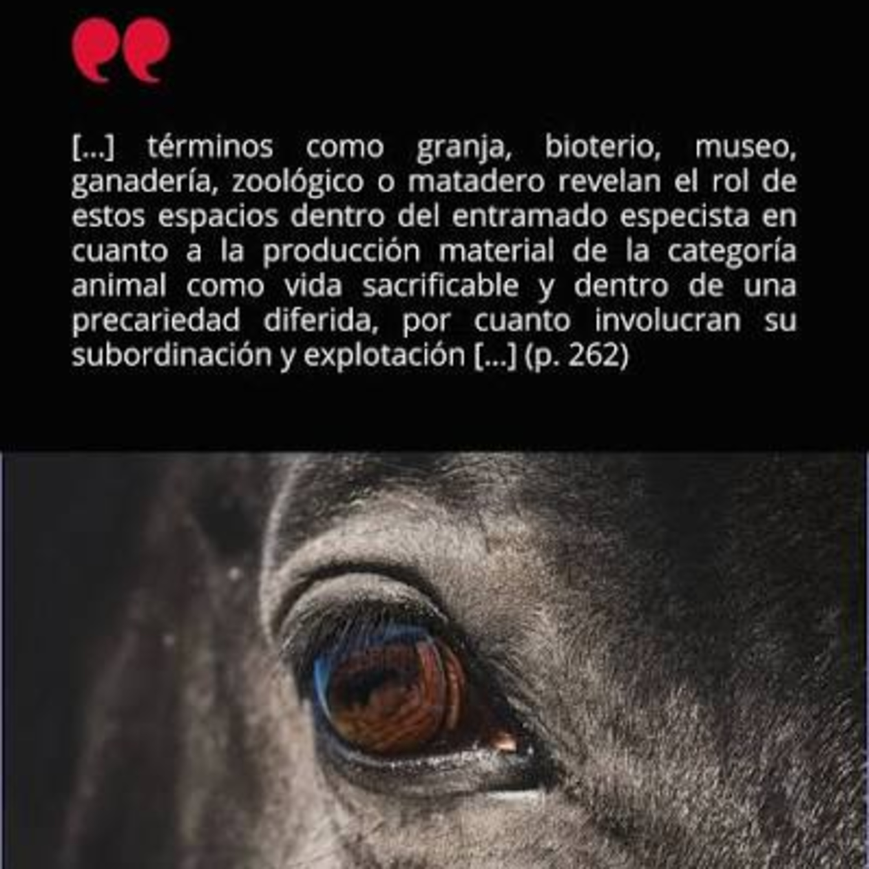 204. GLOSARIO DE RESISTENCIA ANIMAL (ISTA) P. 2 episode artwork