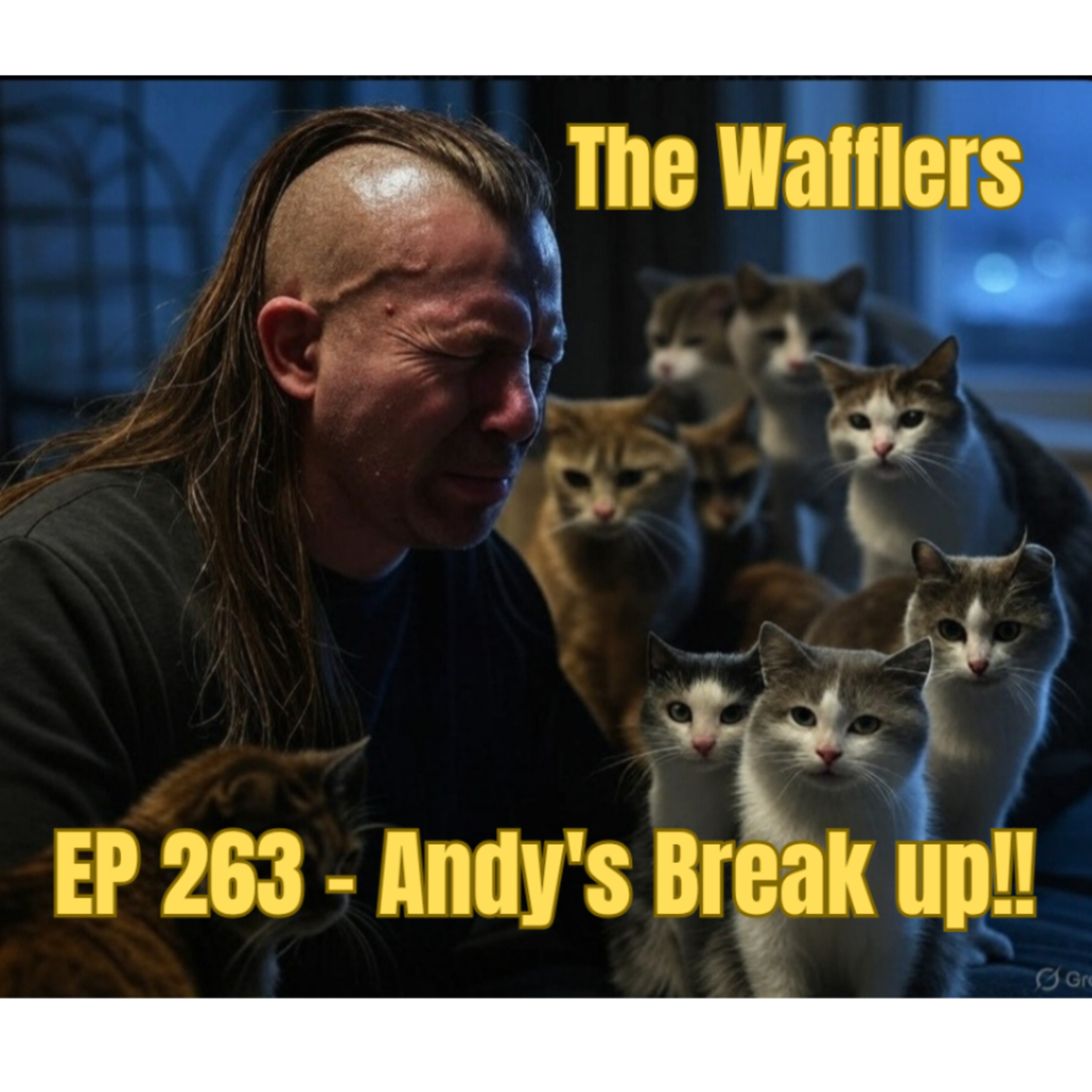 263 - Andy's Break up!