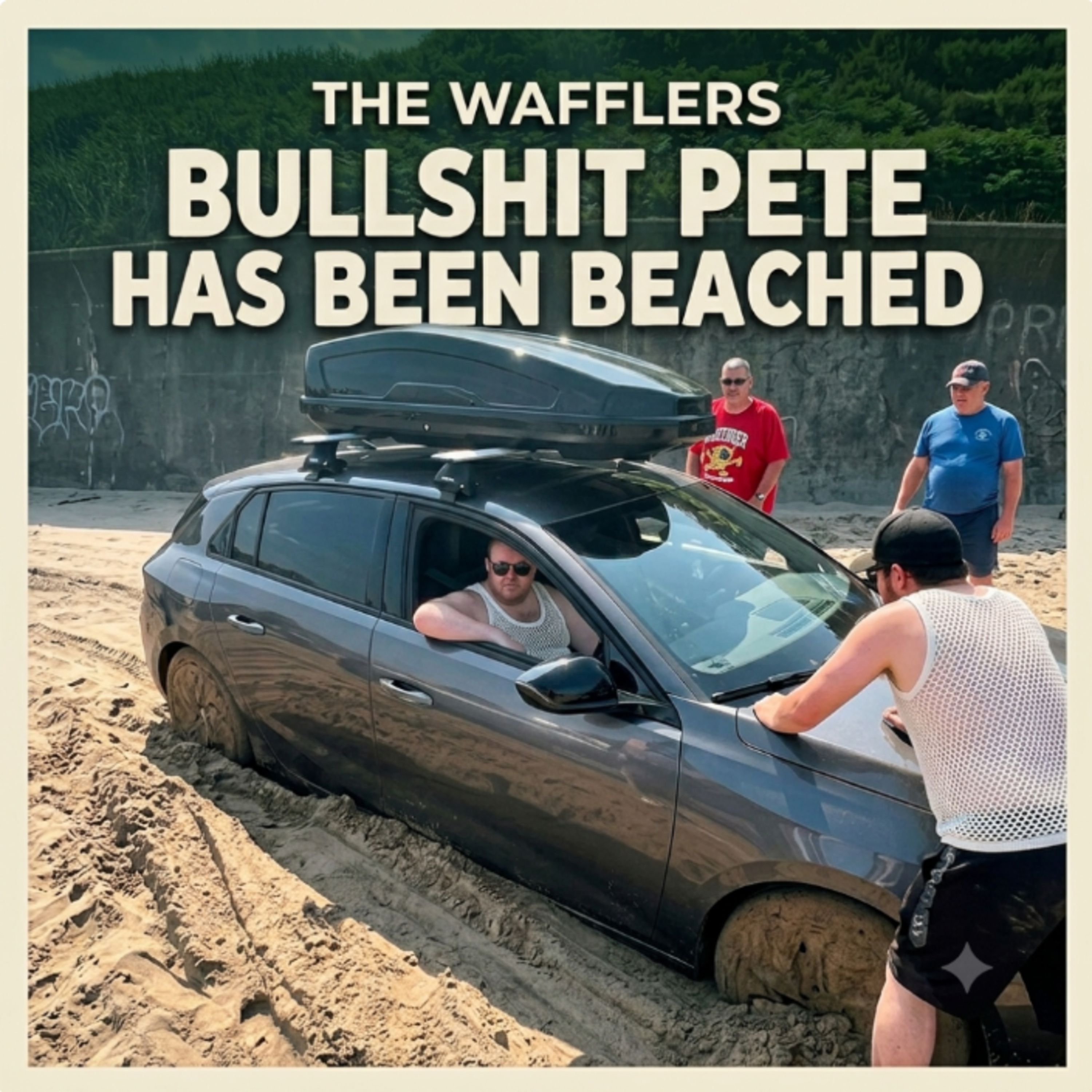 311 - Bullshit Pete's been beached  episode artwork