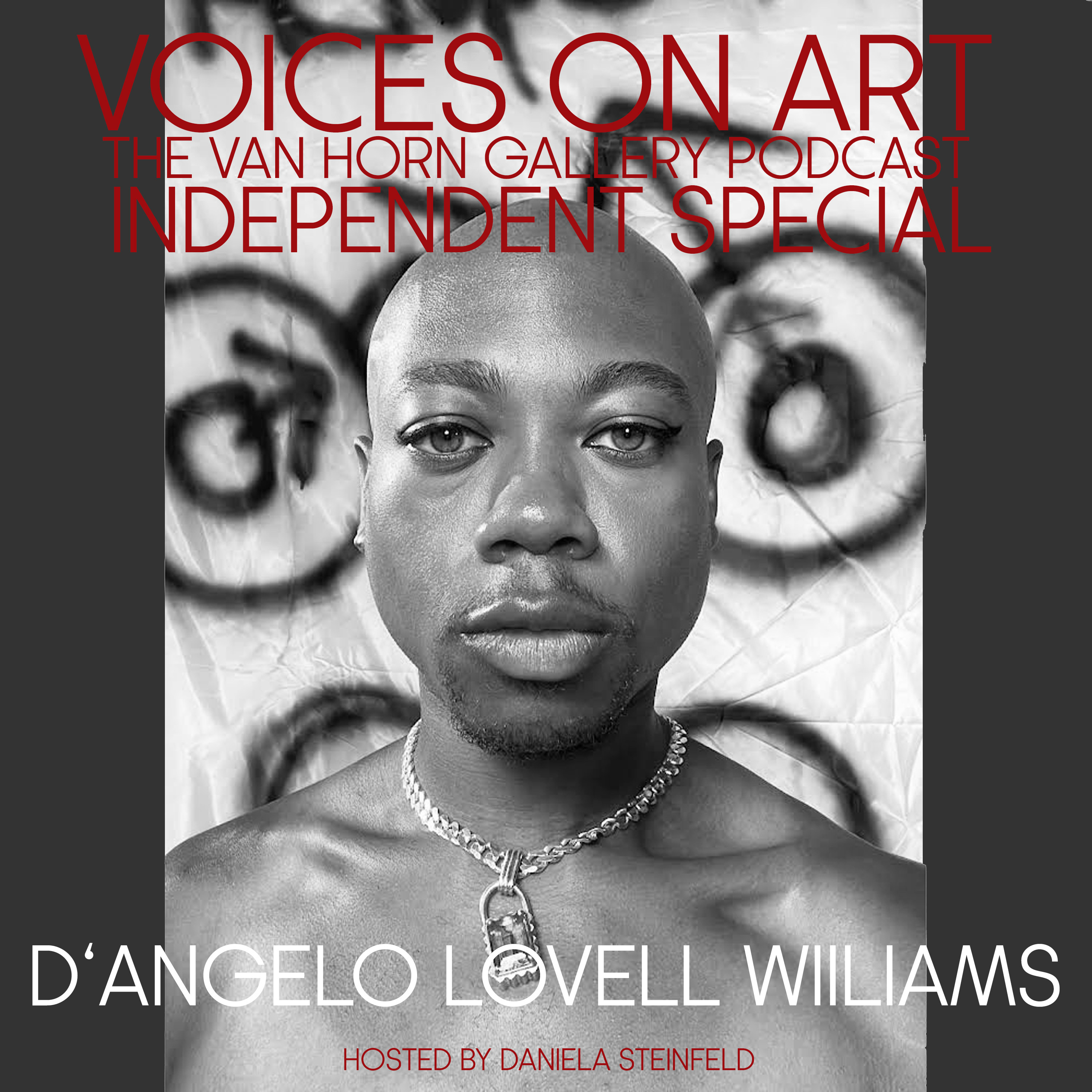 Voices On Art - The VAN HORN Gallery Podcast | hosted by Daniela Steinfeld