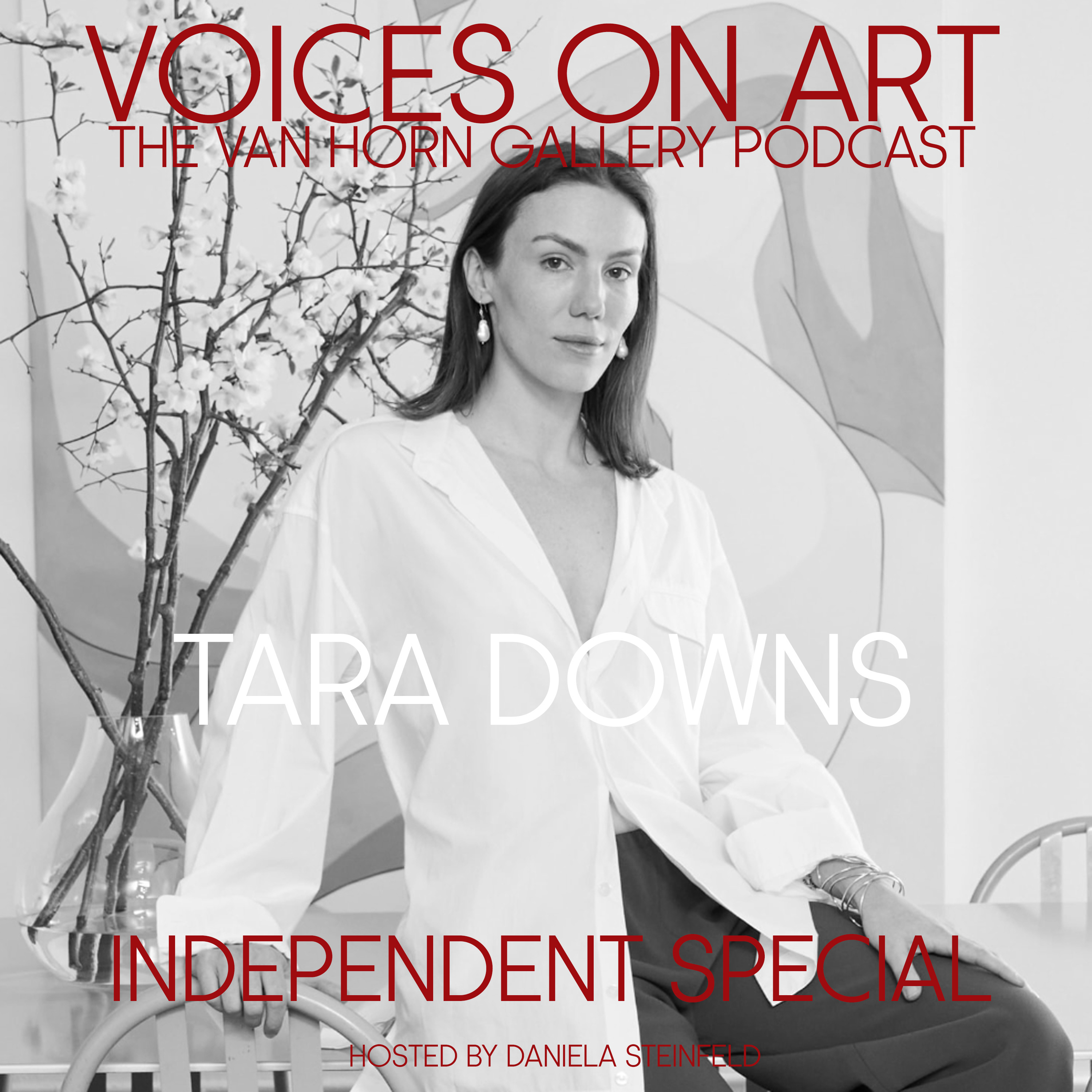Voices On Art - The VAN HORN Gallery Podcast | hosted by Daniela Steinfeld