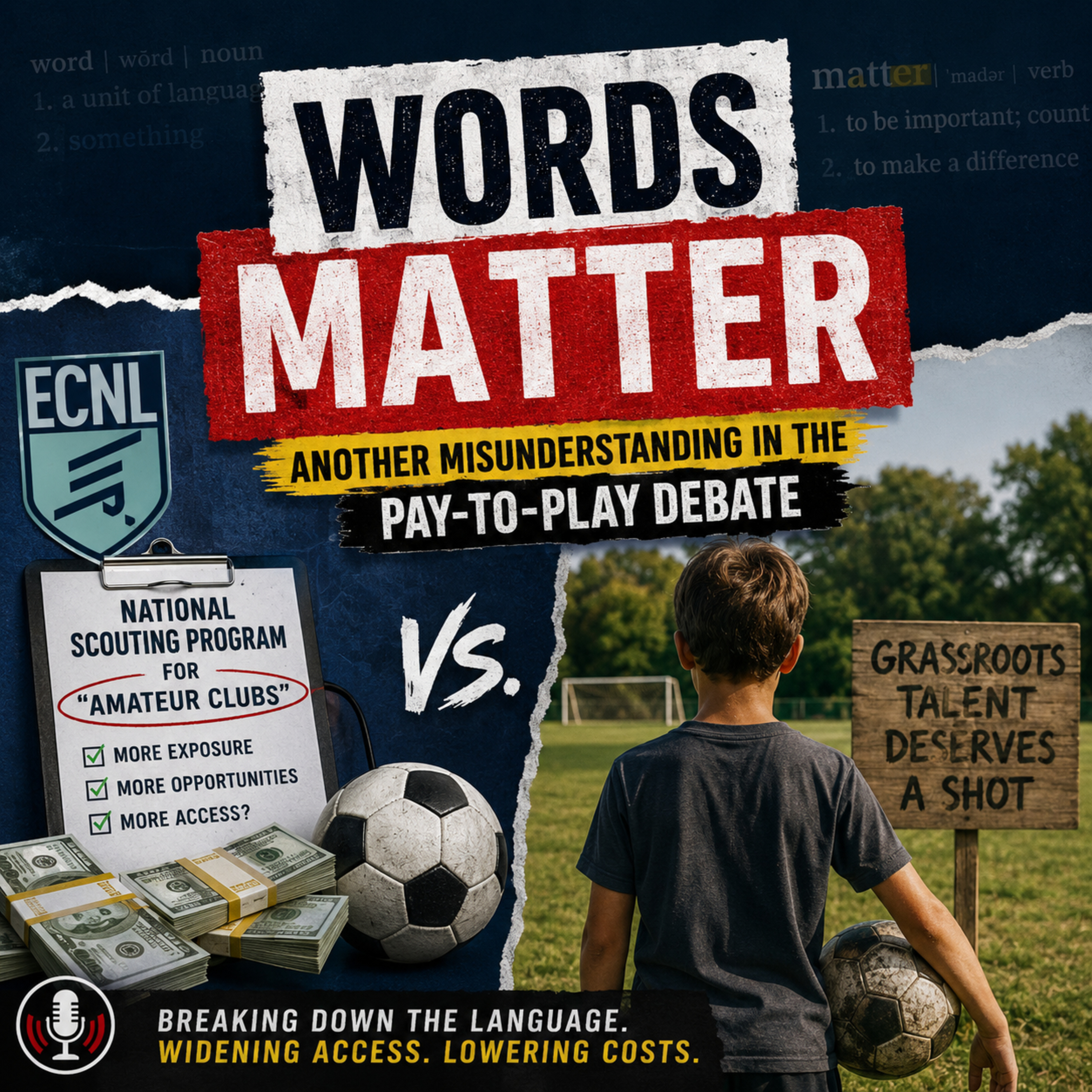 Why Words Matter Untangling another misunderstanding in the Pay-to-Play Debate episode artwork