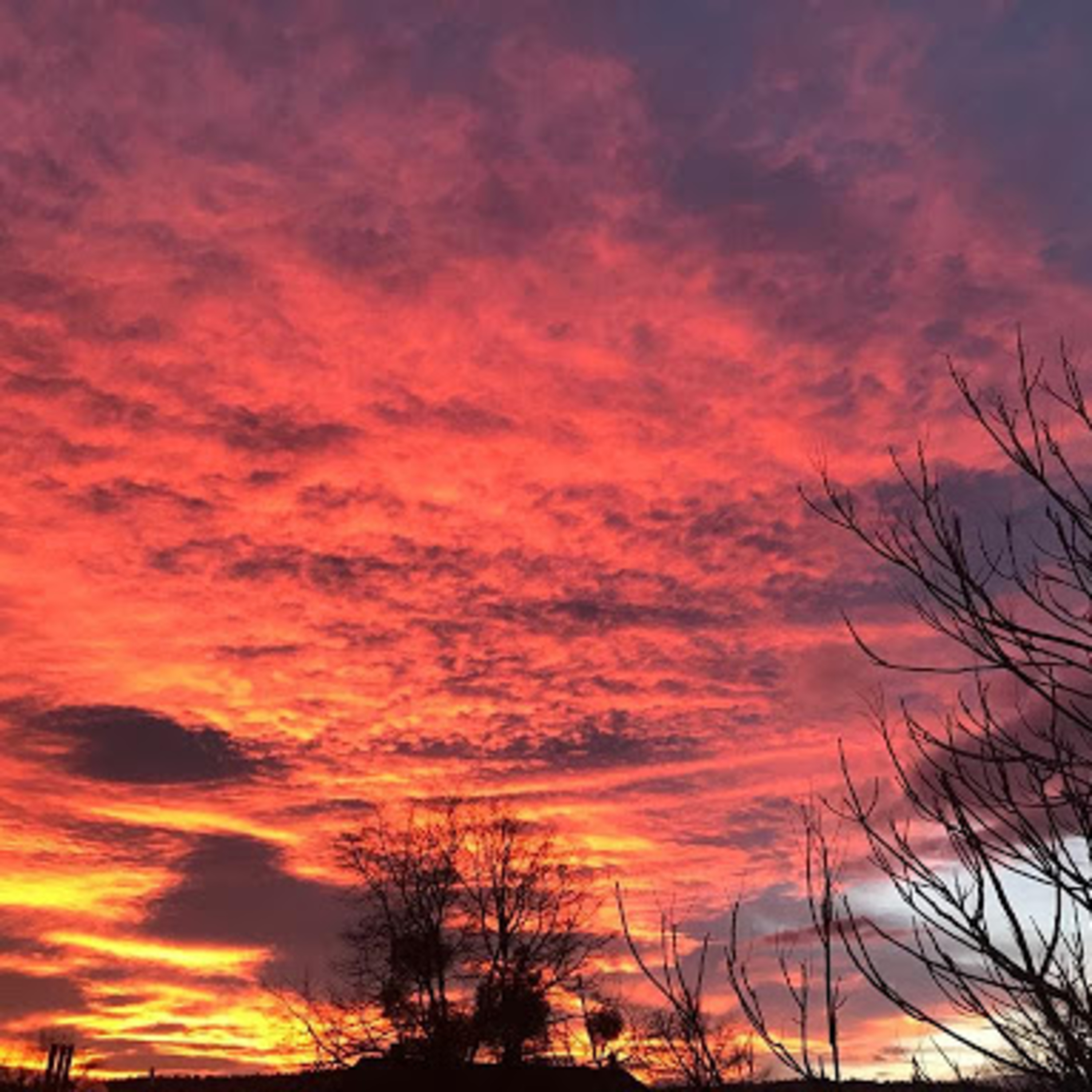 101. ¿Hablaste con la profesora?