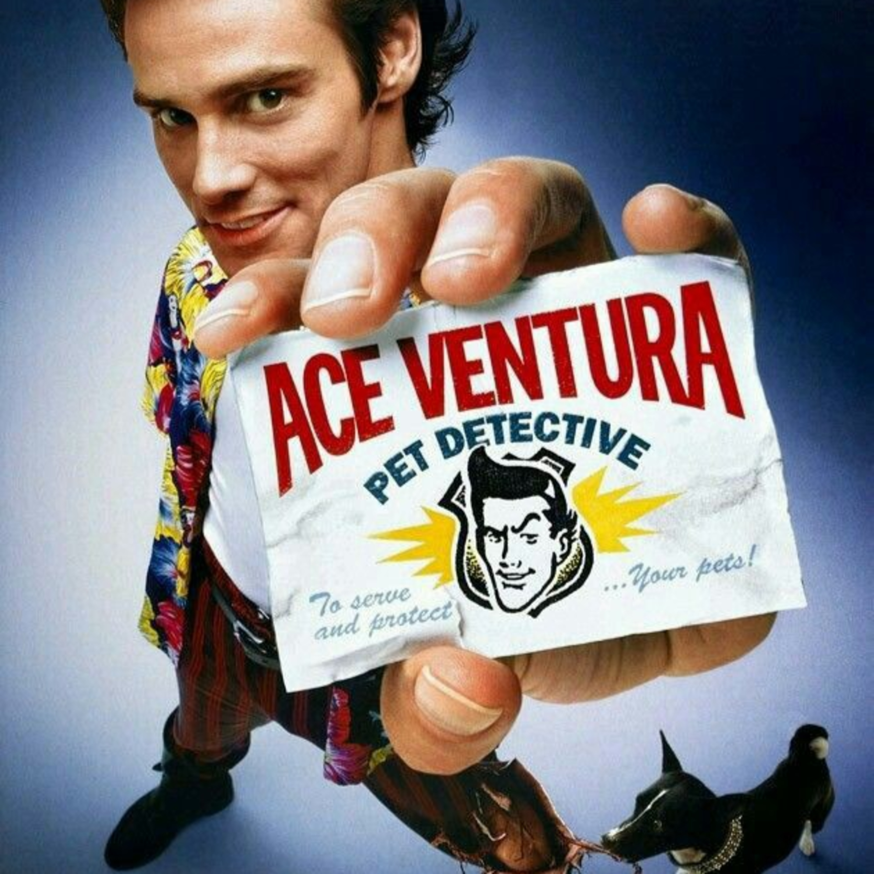 Boraylafilmler: Ace Ventura-Pet Detective episode artwork