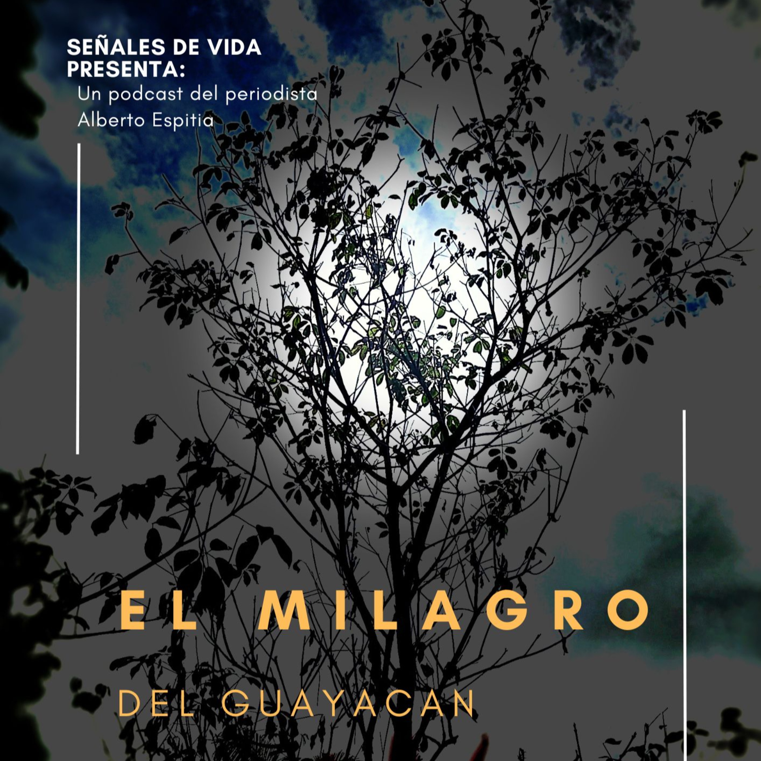 El Milagro del Guayacan episode artwork