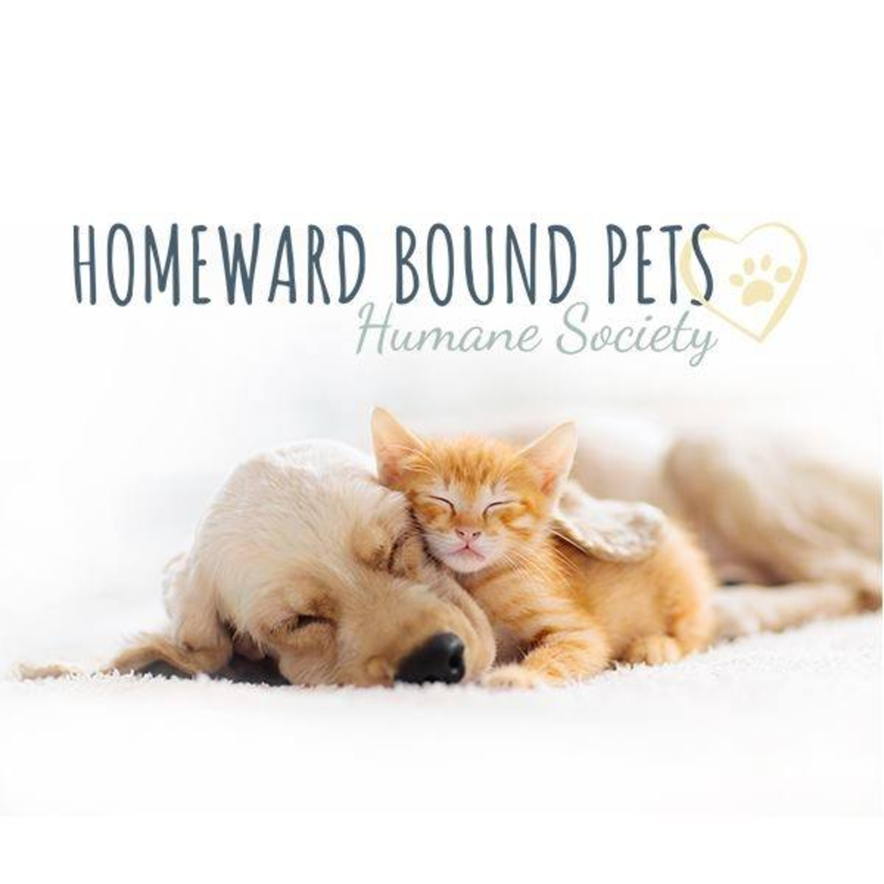 PDX Pet Connection
