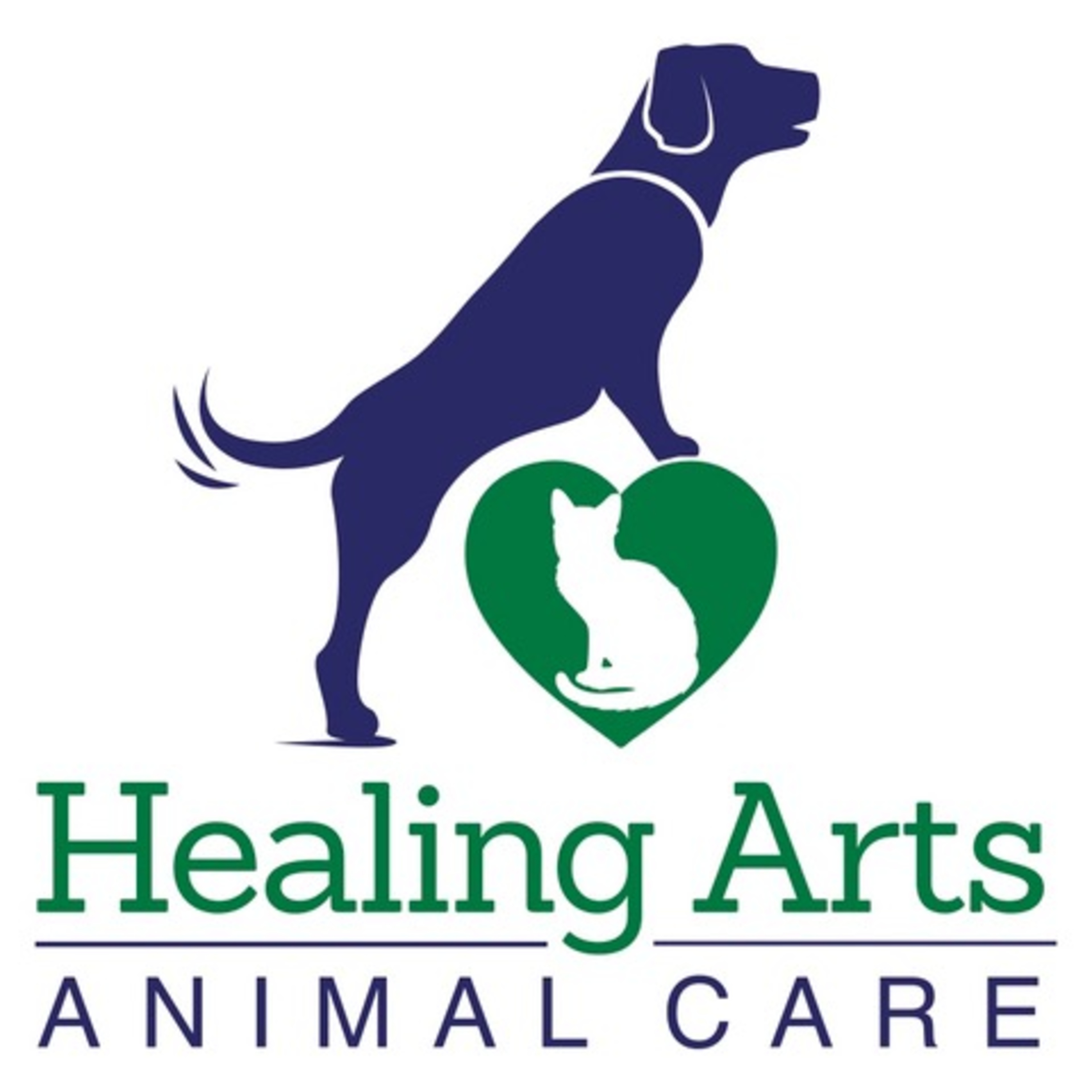 Interview with Dr. Mandi Blackwelder of Healing Arts Animal Care episode artwork