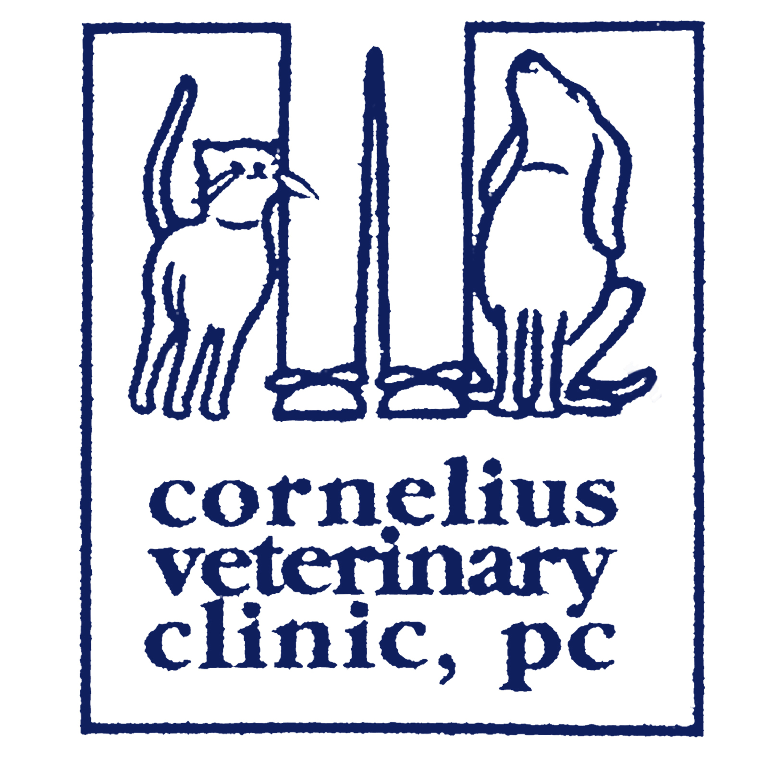 Interview with Angela Vinton of Cornelius Veterinary Clinic episode artwork