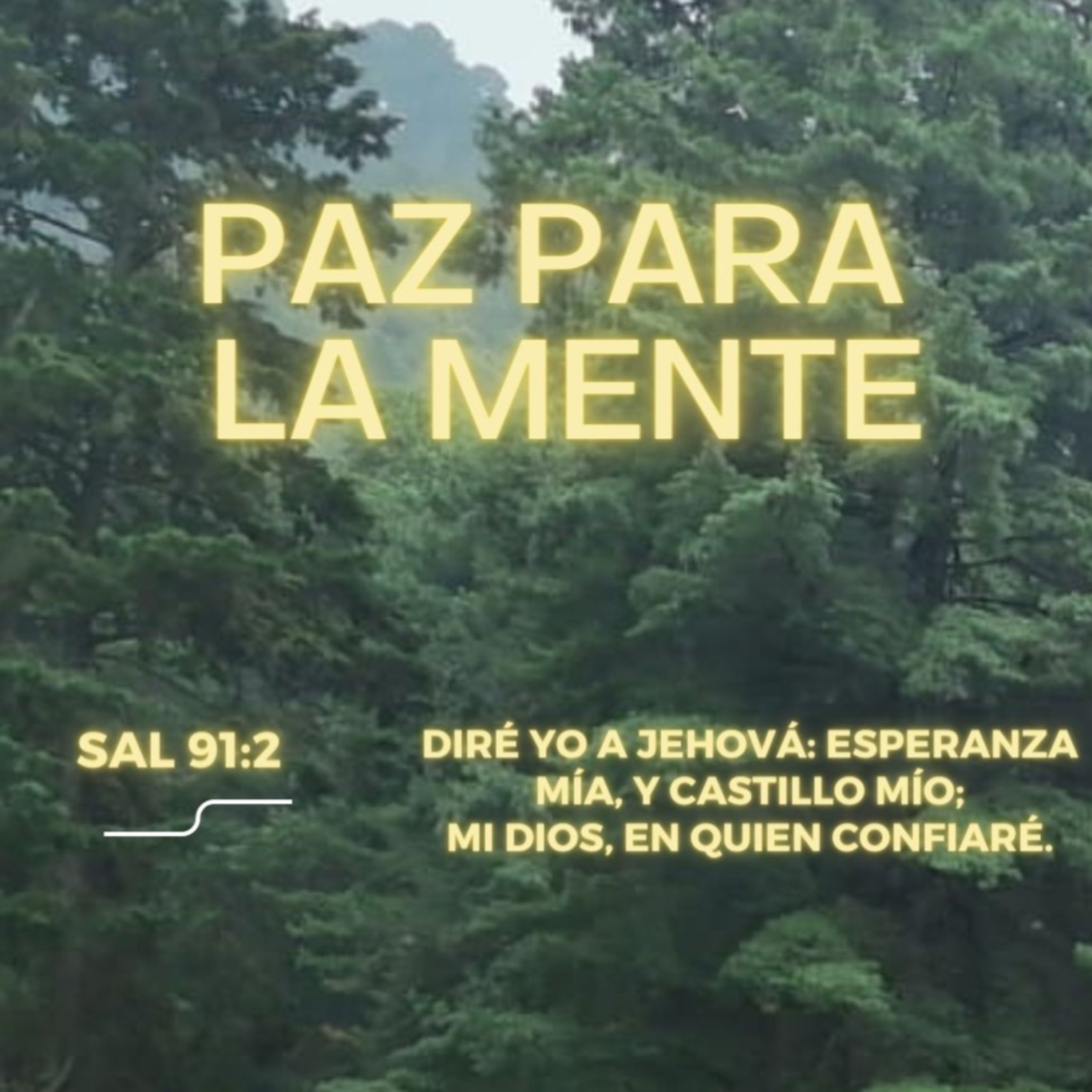 Predicaciones, Mensajes de Ánimo y de Reflexión