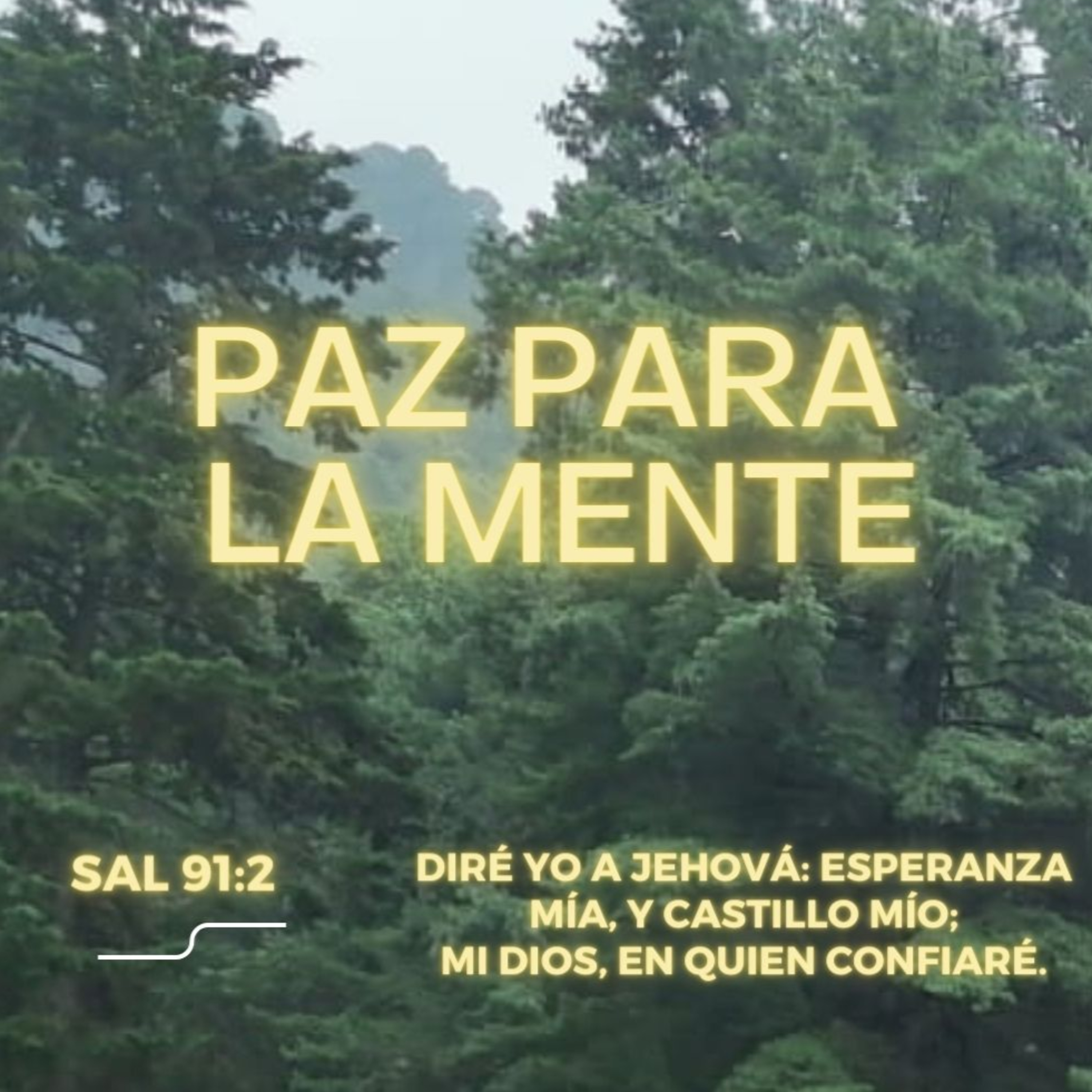 Predicaciones, Mensajes de Ánimo y de Reflexión