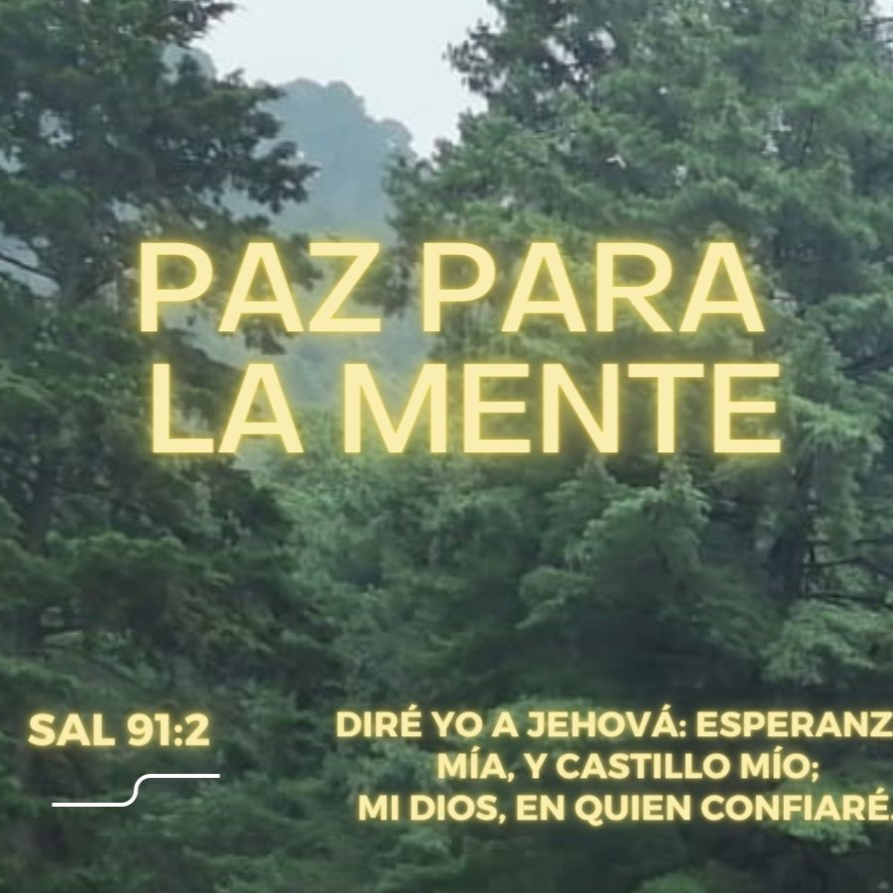 Predicaciones, Mensajes de Ánimo y de Reflexión