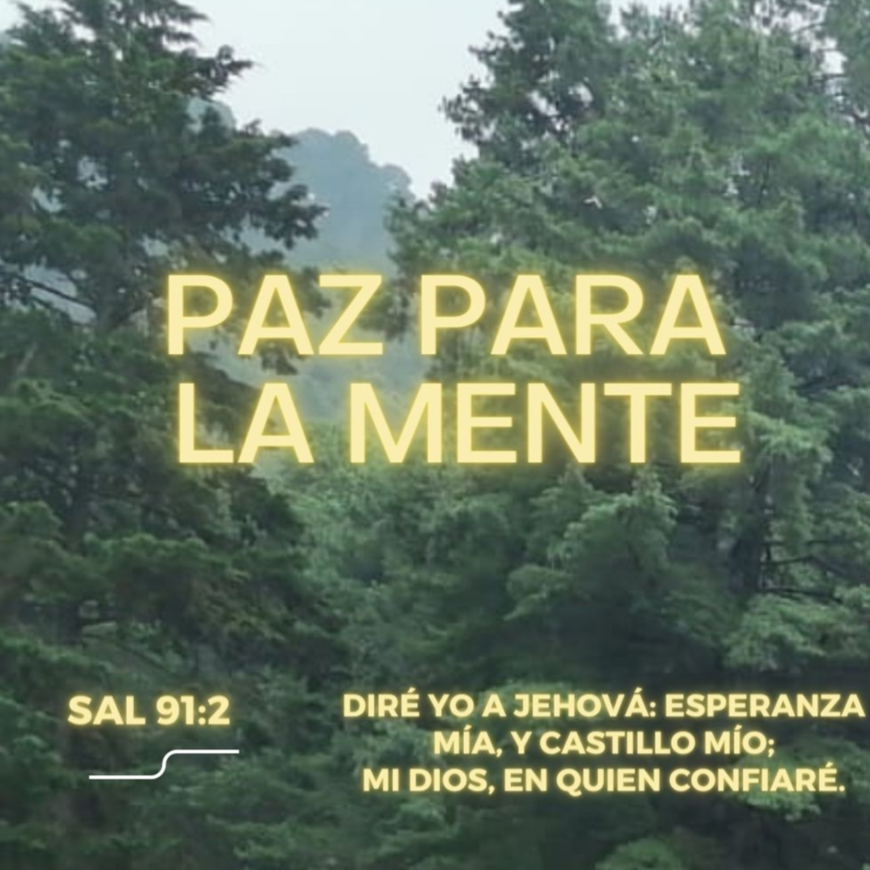 Predicaciones, Mensajes de Ánimo y de Reflexión