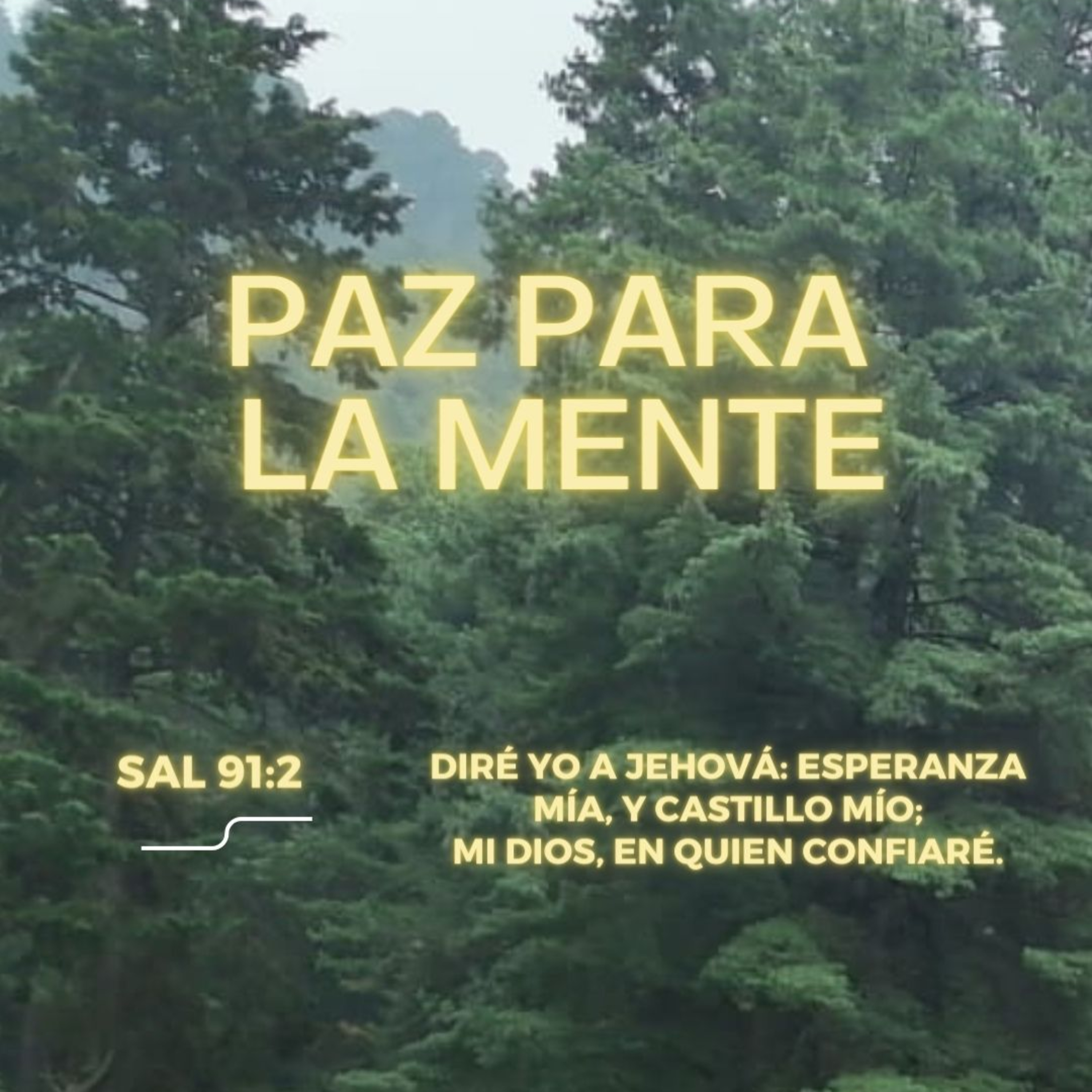 Predicaciones, Mensajes de Ánimo y de Reflexión