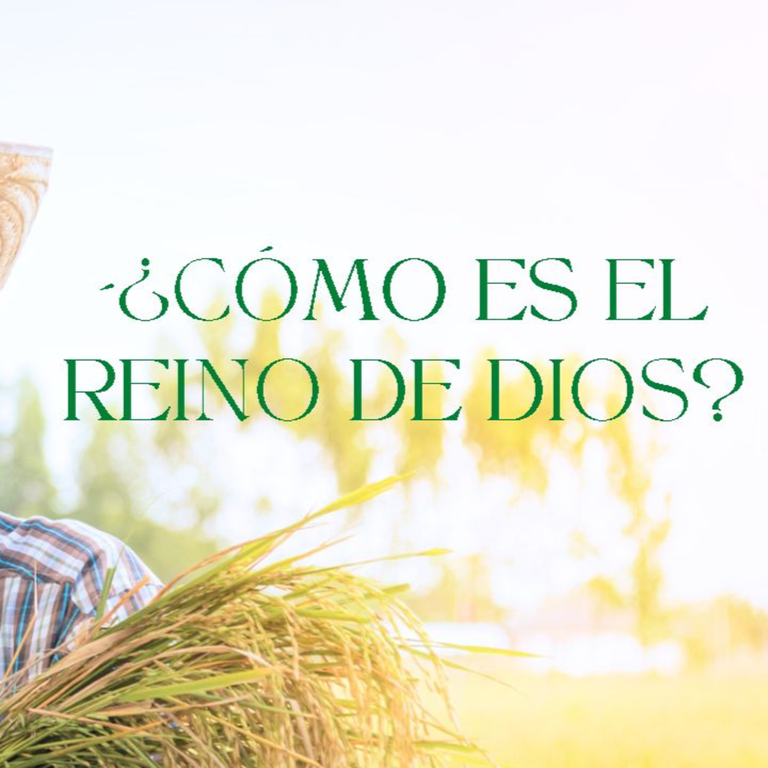 Predicaciones, Mensajes de Ánimo y de Reflexión