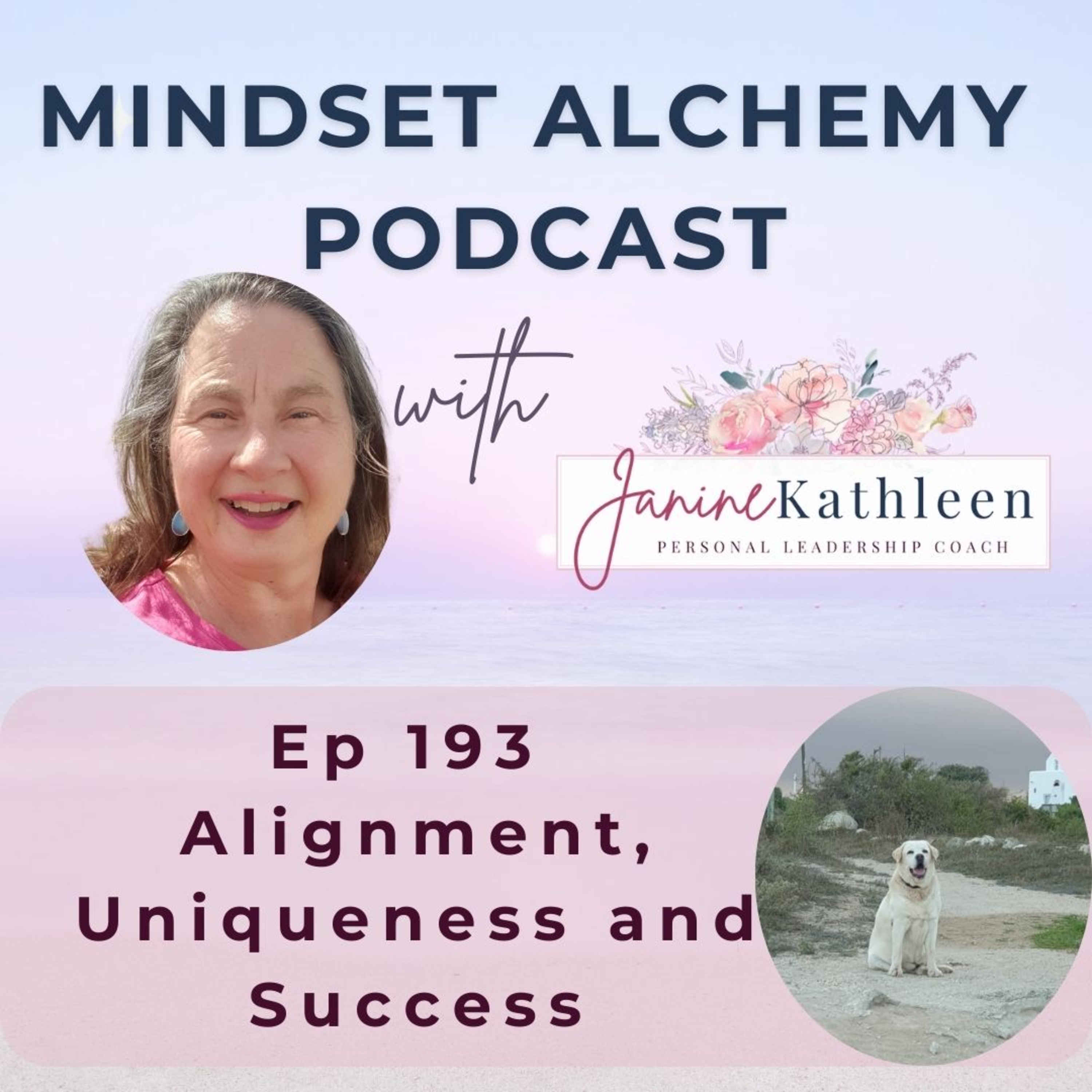 Mindset Alchemy