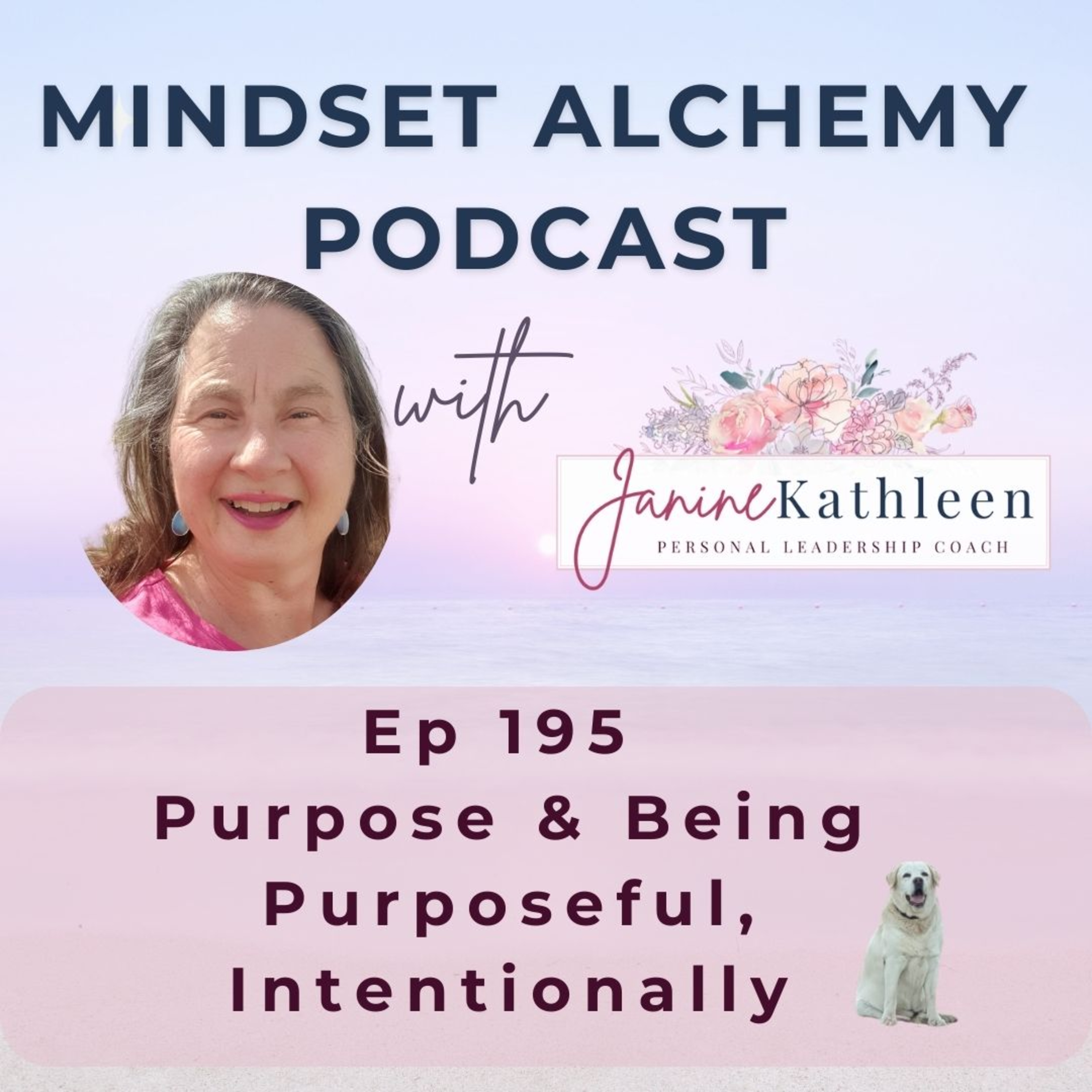 Mindset Alchemy