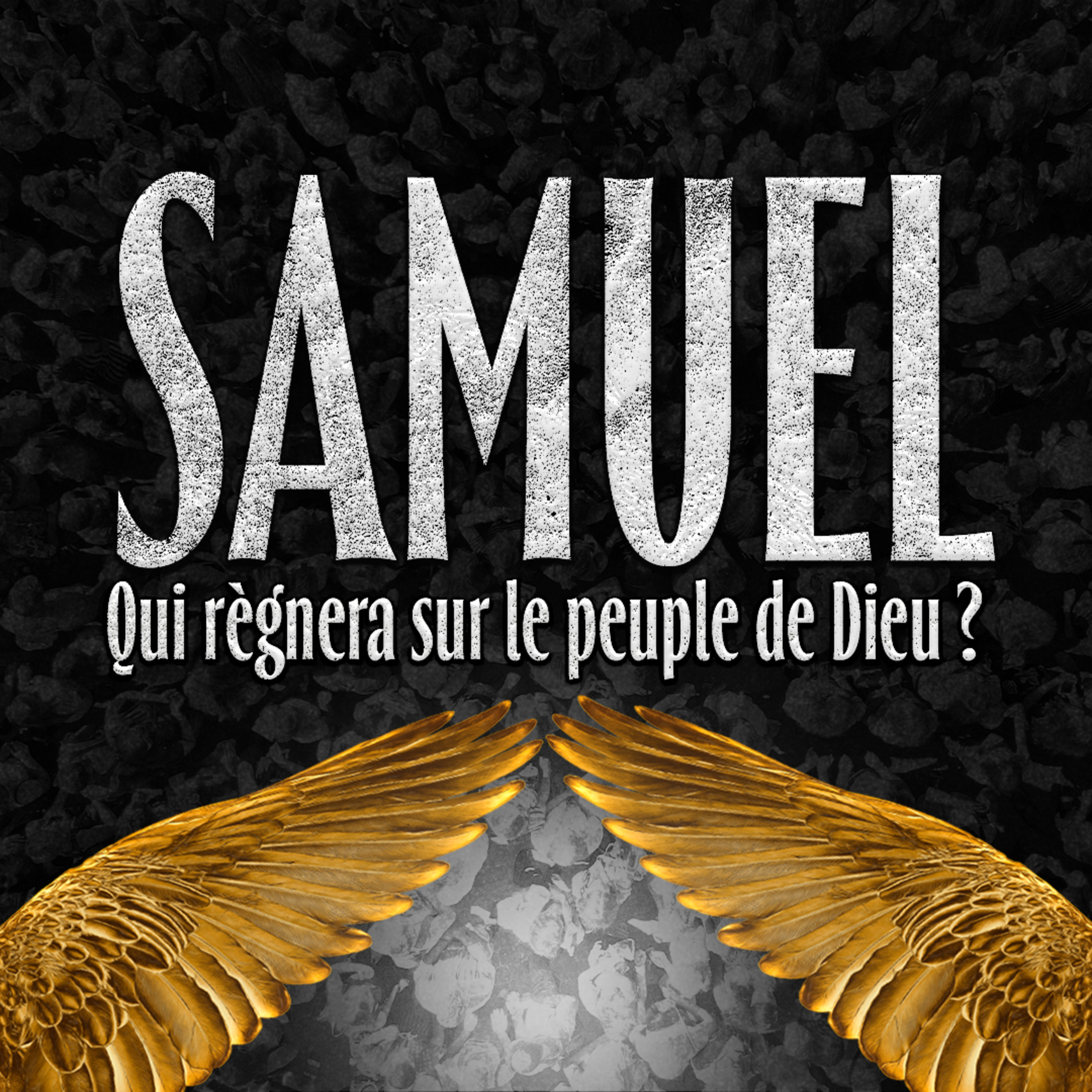 1 Samuel 30. 1-31 - David tire sa force de l’Éternel episode artwork
