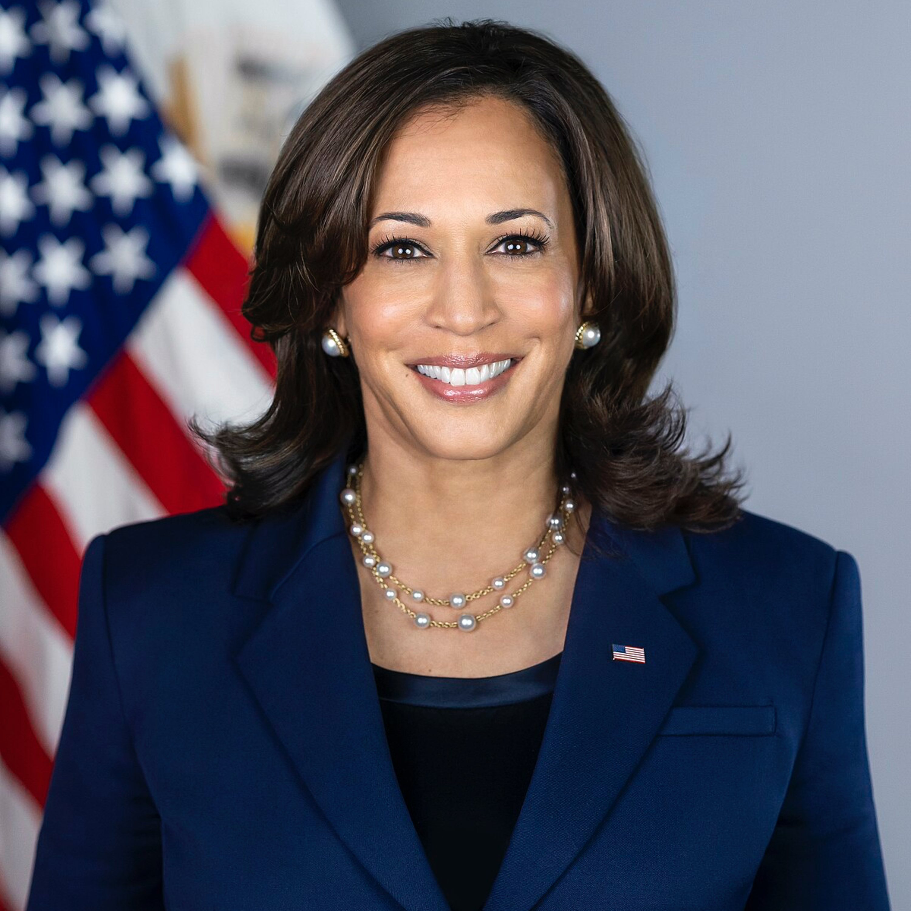 🇺🇸 What’s next for Kamala Harris after the 2024 election?  episode artwork