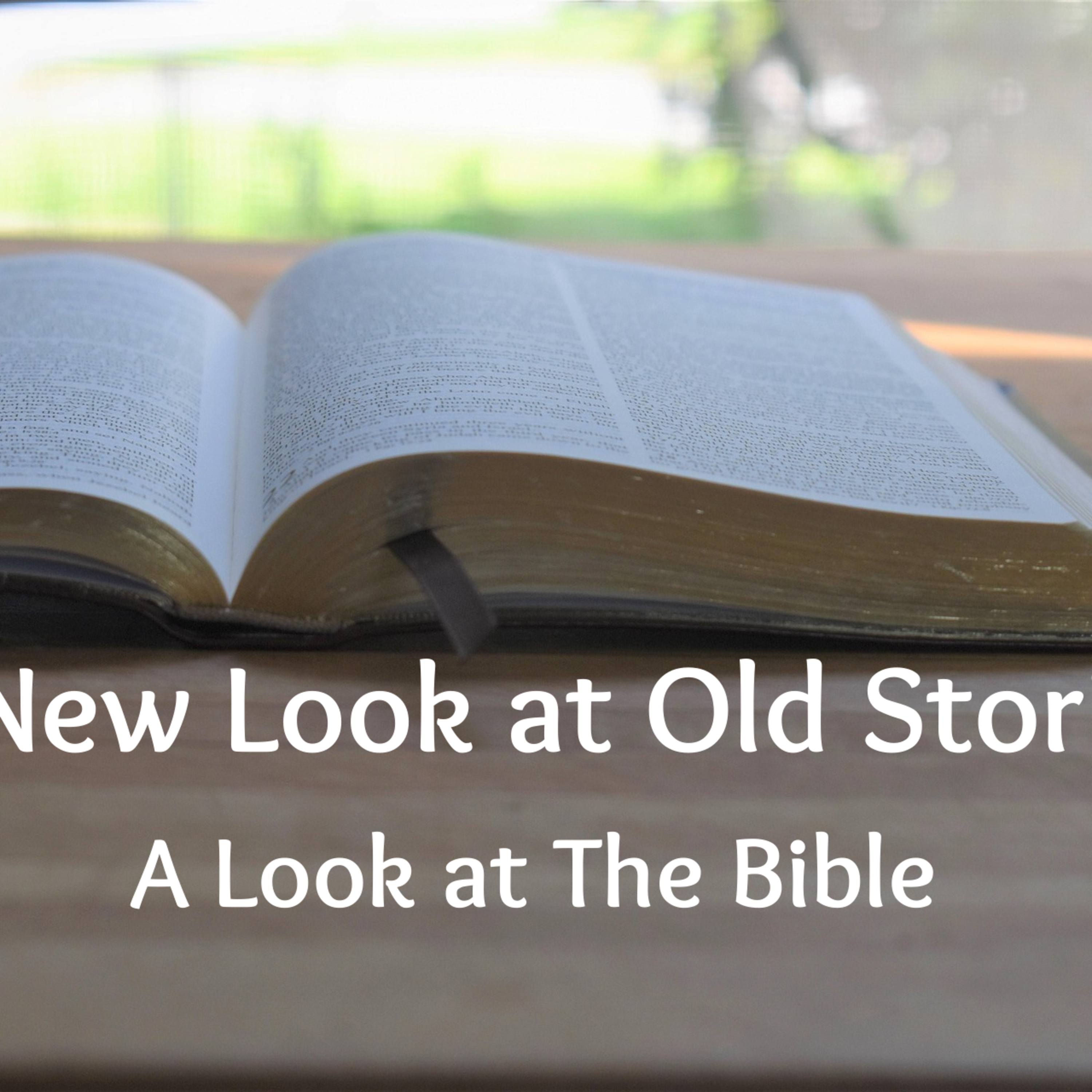 Bible Discussion: A Look at the Bible episode artwork