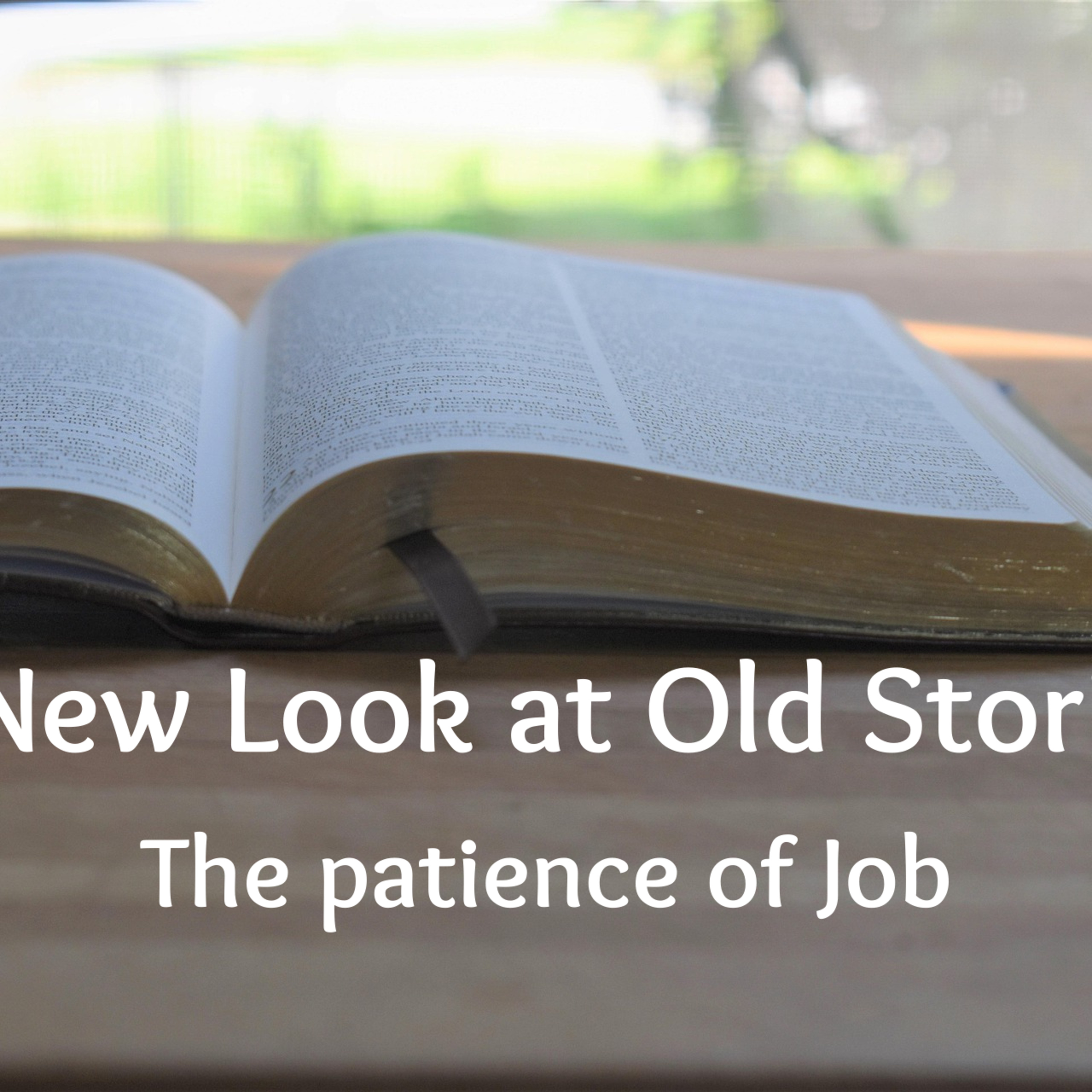 Bible Discussion: The Patience of Job episode artwork