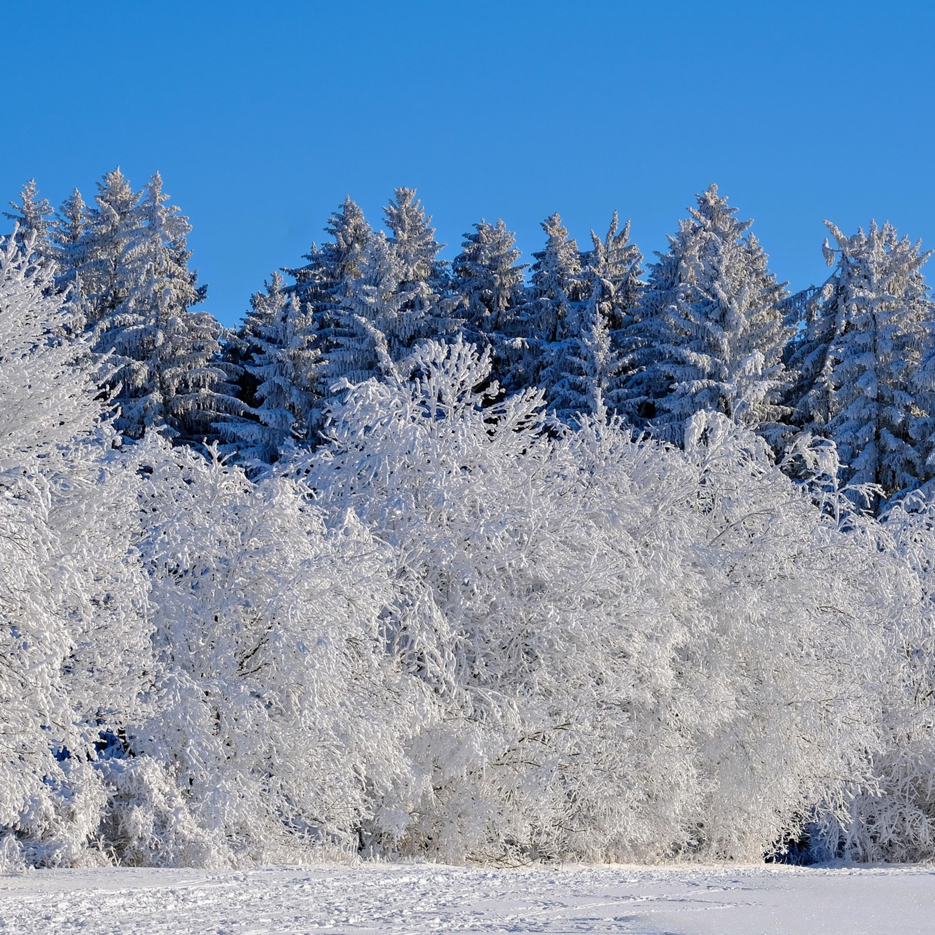Pastor Bill On Adjusting To Winter episode artwork