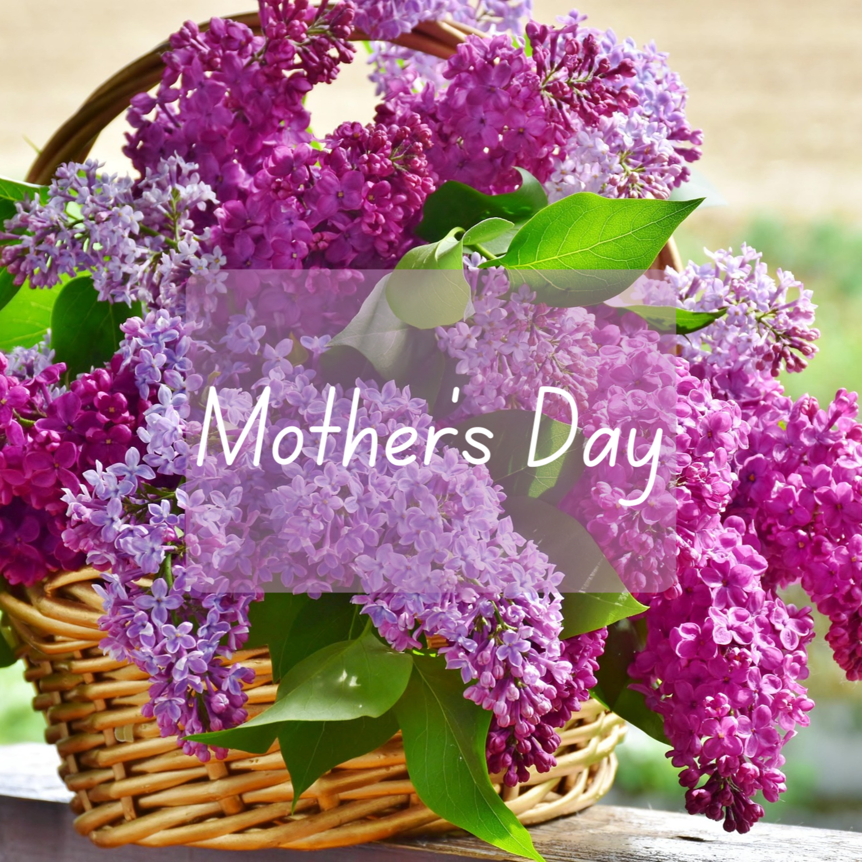 Pastor Bill On Mother's Day episode artwork