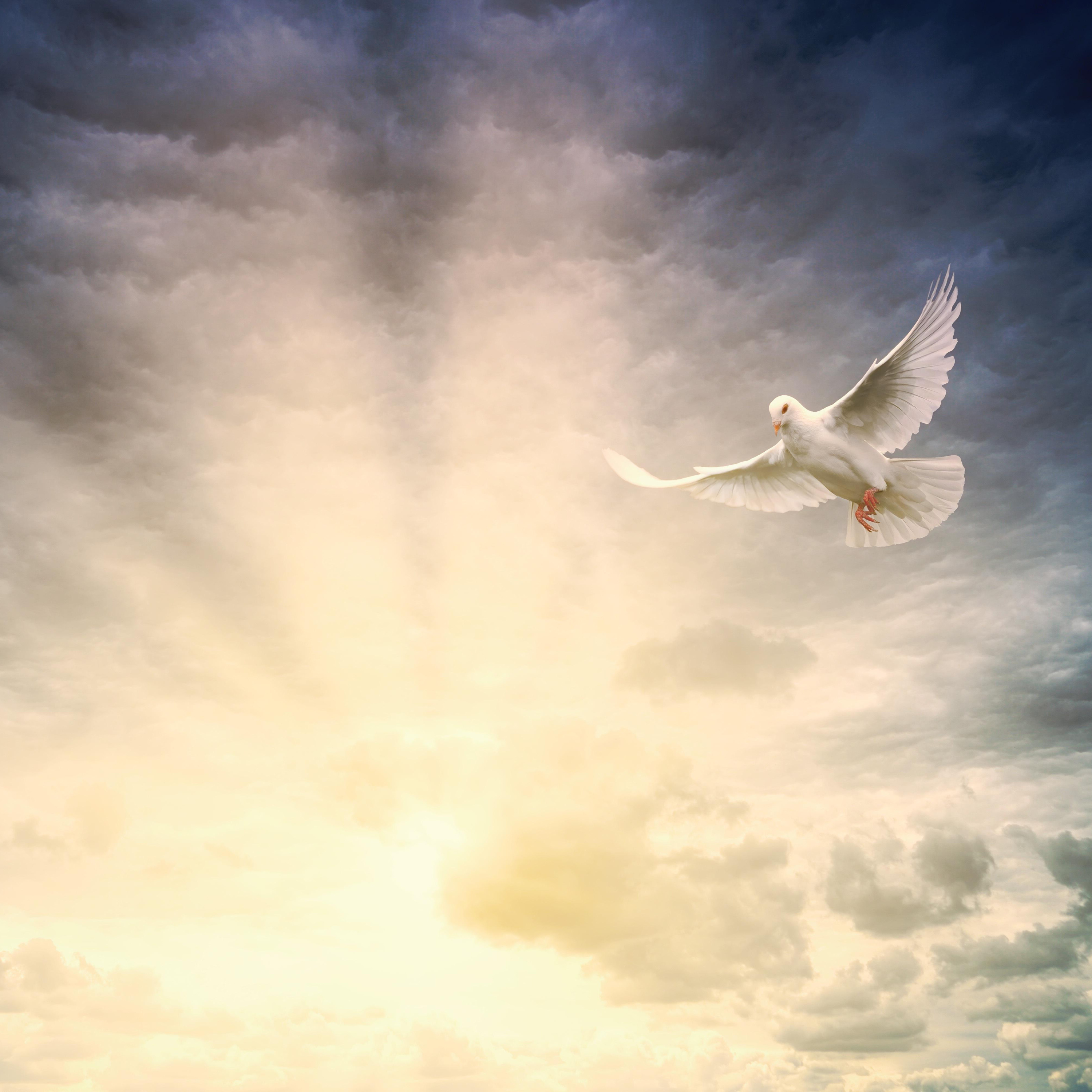 Pastor Bill On Pentecost episode artwork