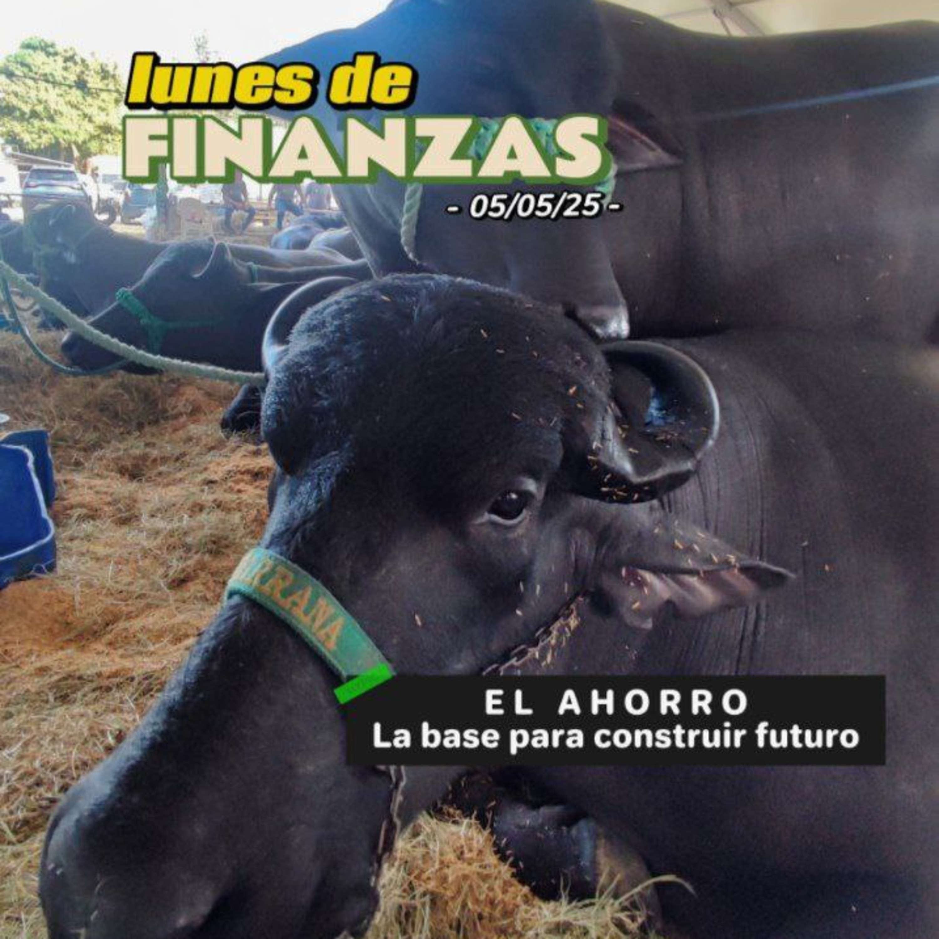 Criptomonedas Sin Tapabocas Podcast