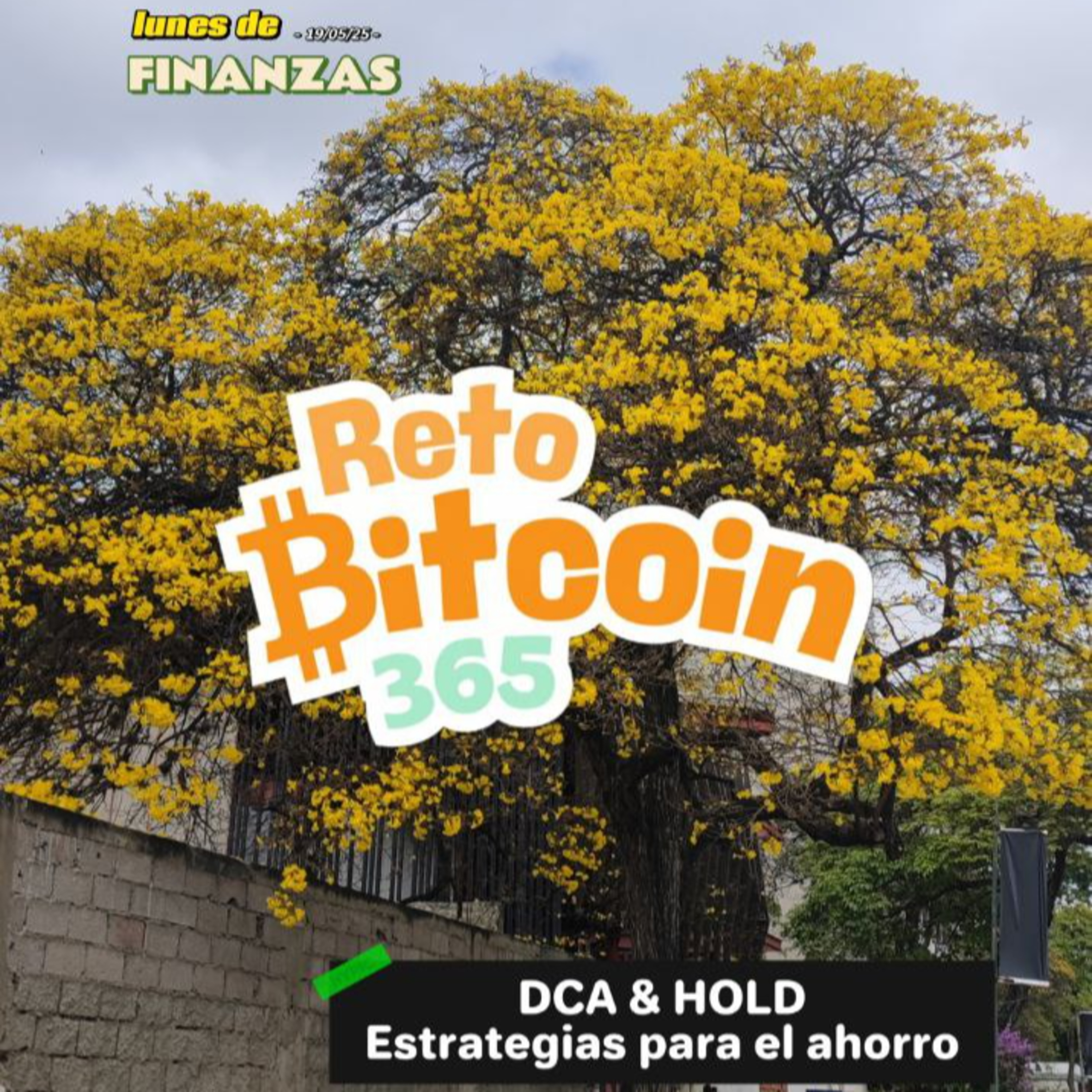 Criptomonedas Sin Tapabocas Podcast