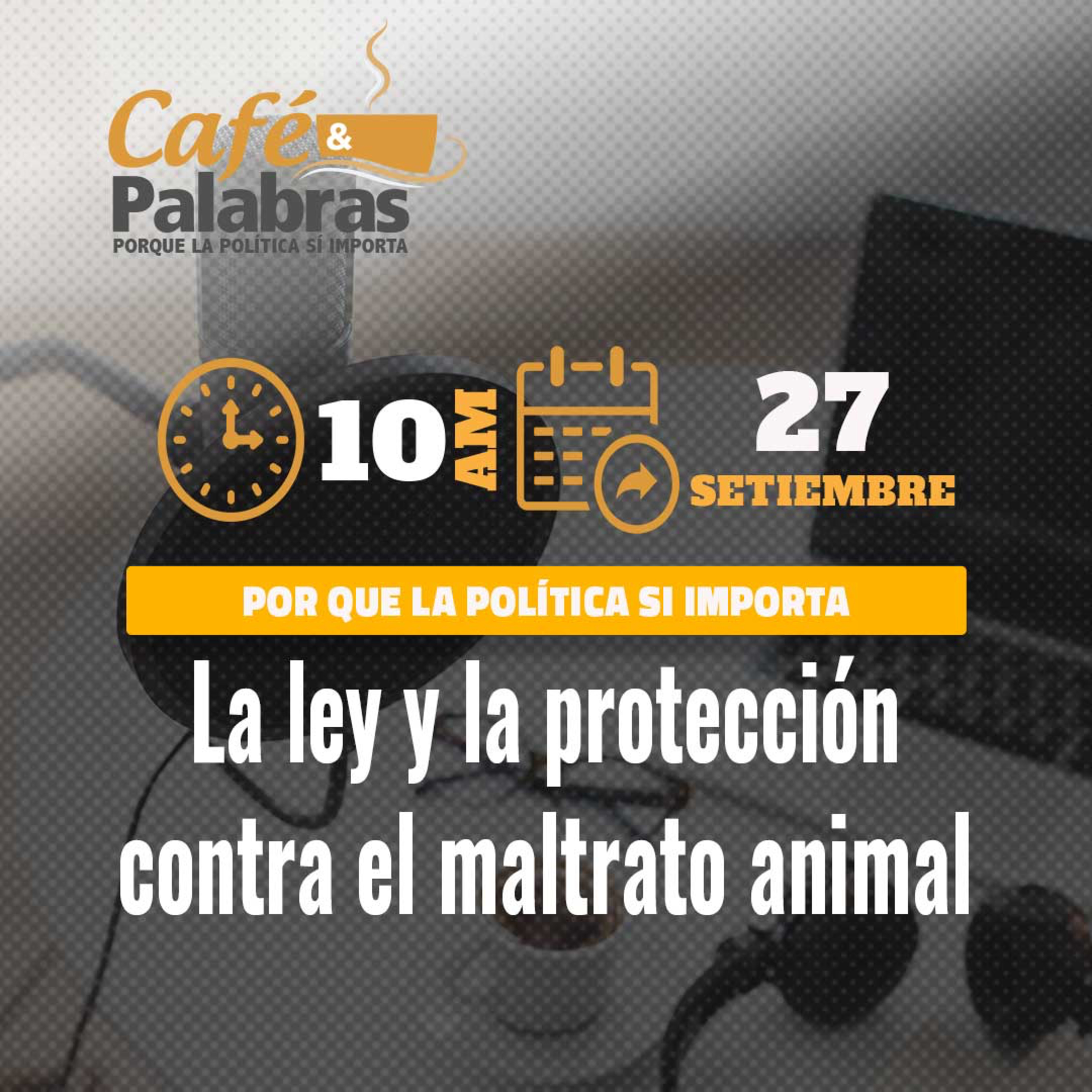 La ley y la protección contra el maltrato animal
