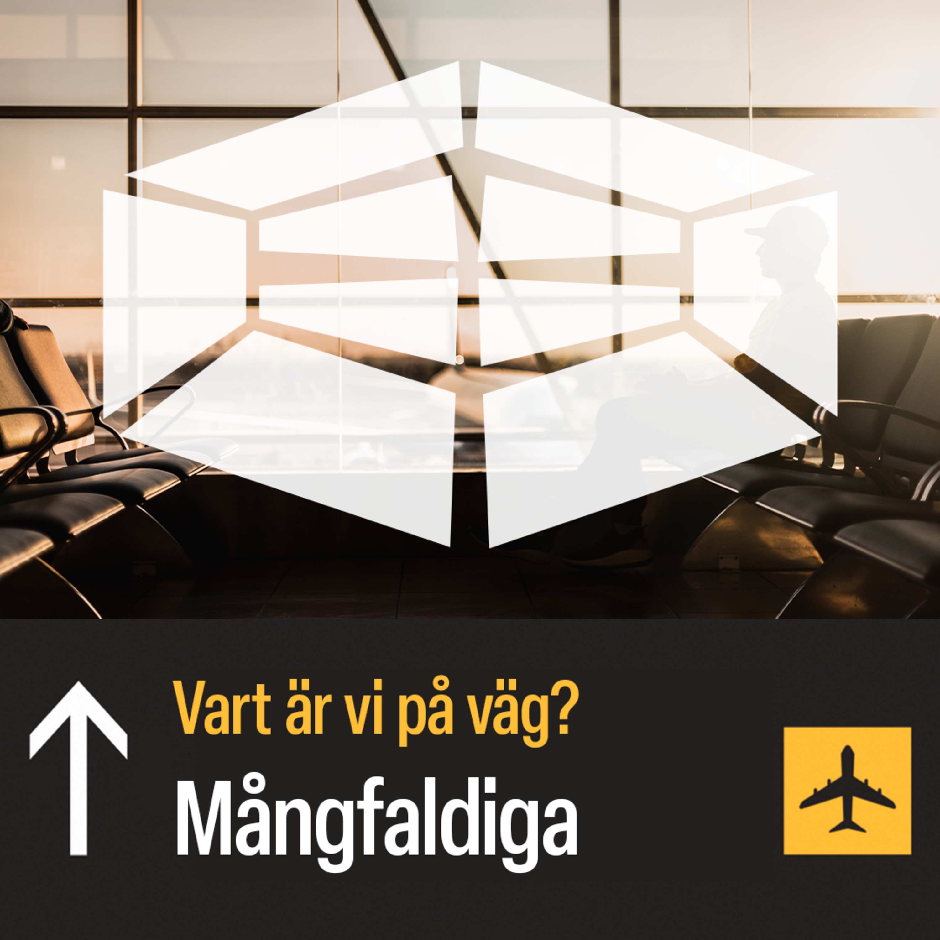 Vart är vi på väg? – Mångfaldiga | Johanna Bode episode artwork