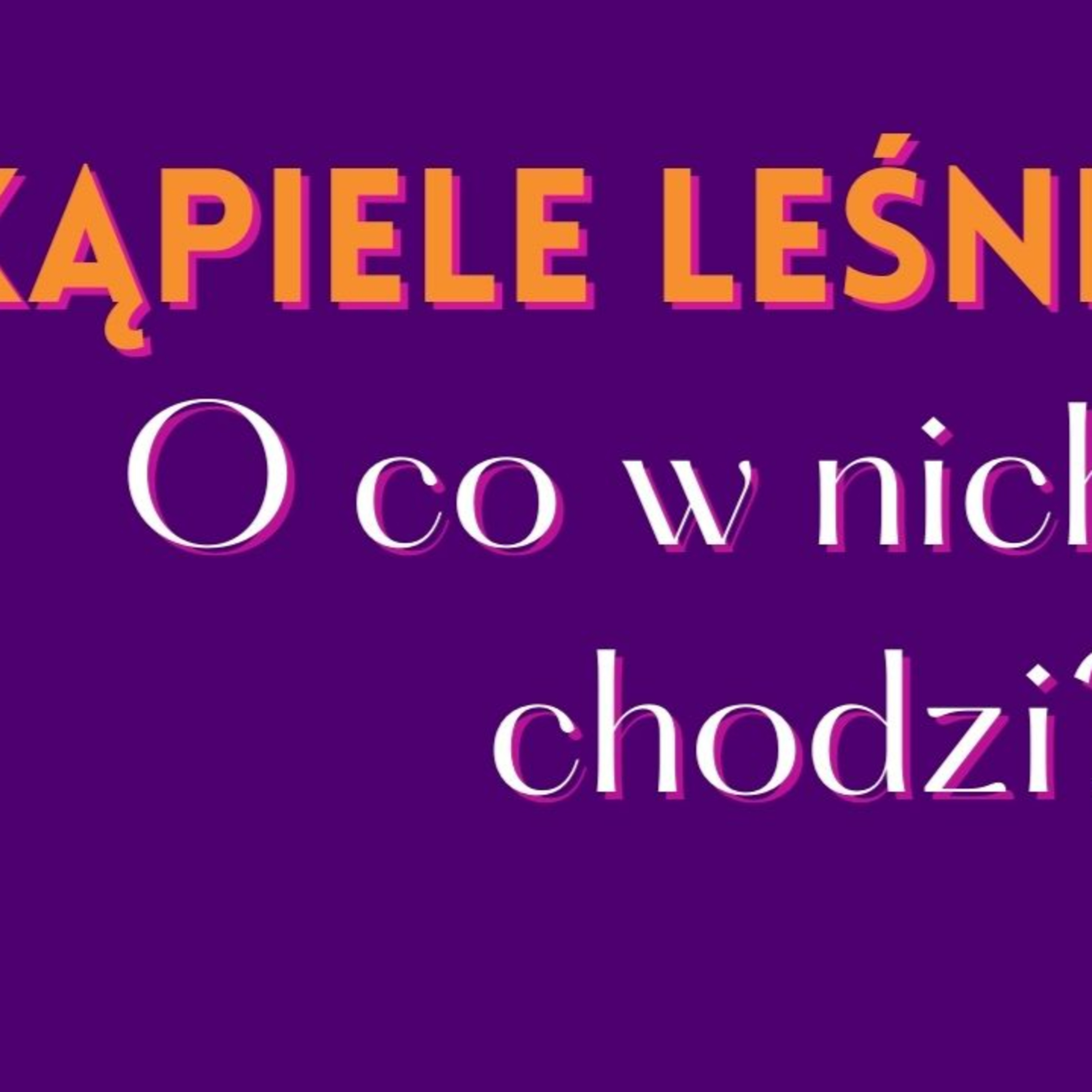 Shinrin yoku, czyli kąpiele leśne. Jak to działa i czym jest?