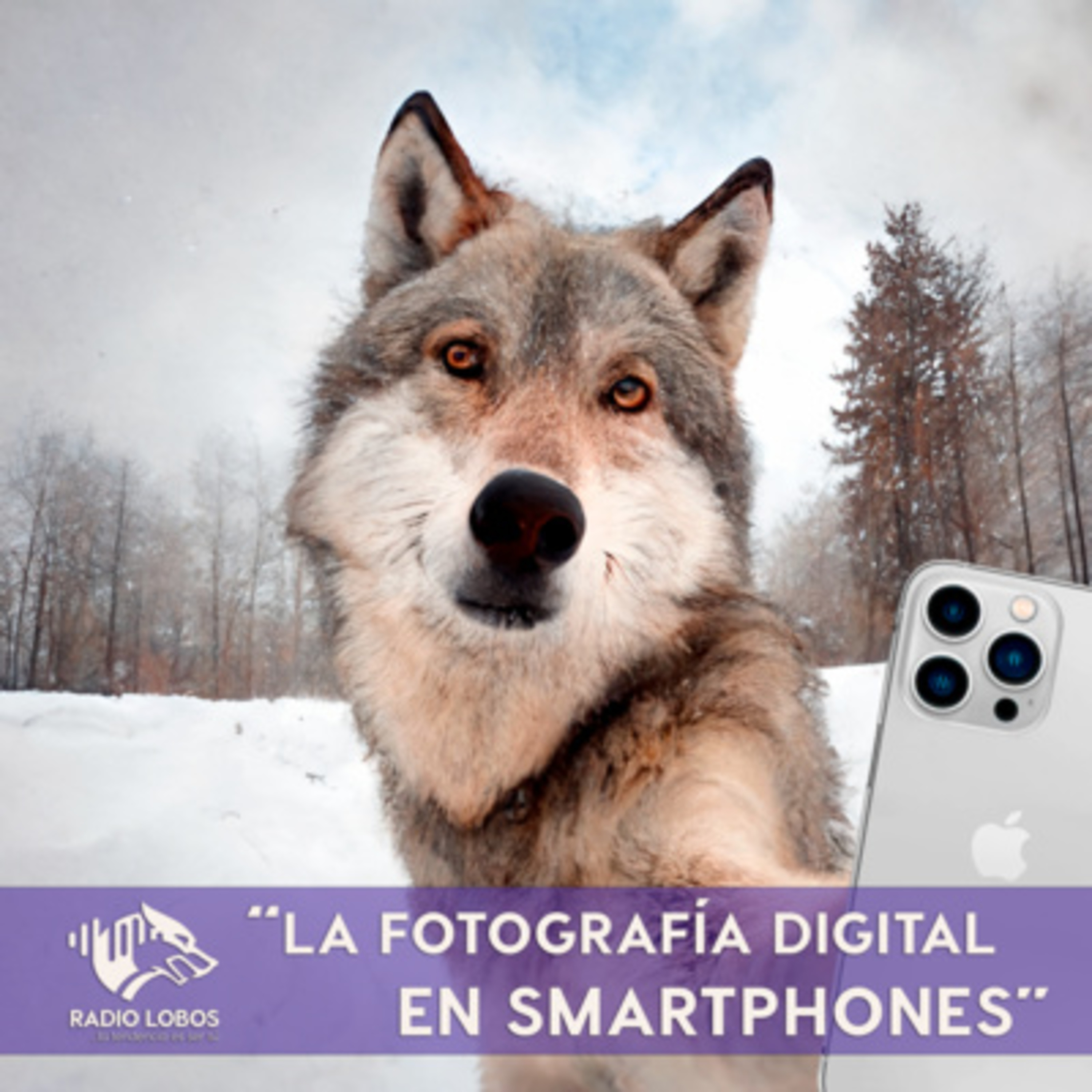 Radio LOBOS Ep. 4 - "La Fotografía Digital en Smartphones"