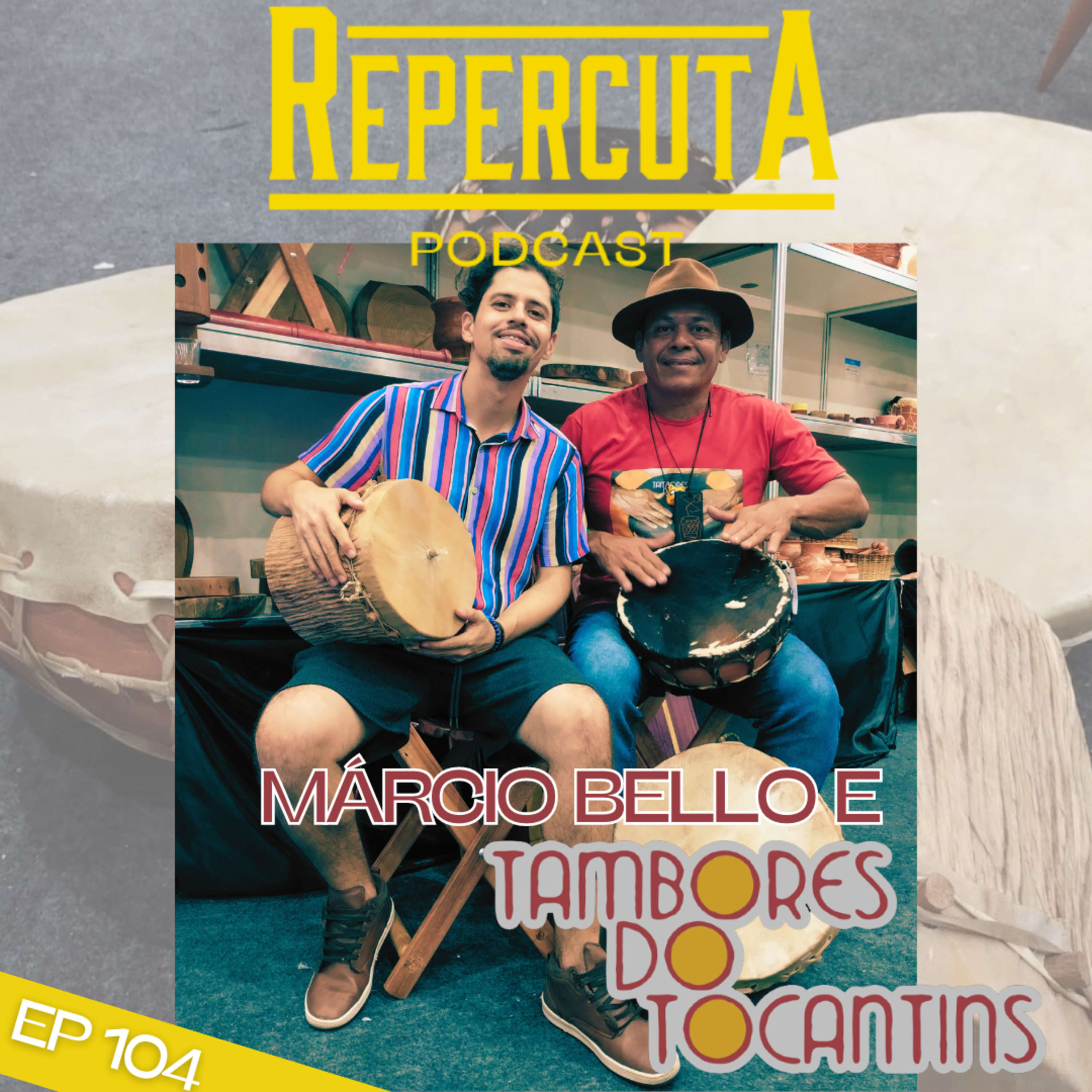 RepercutA