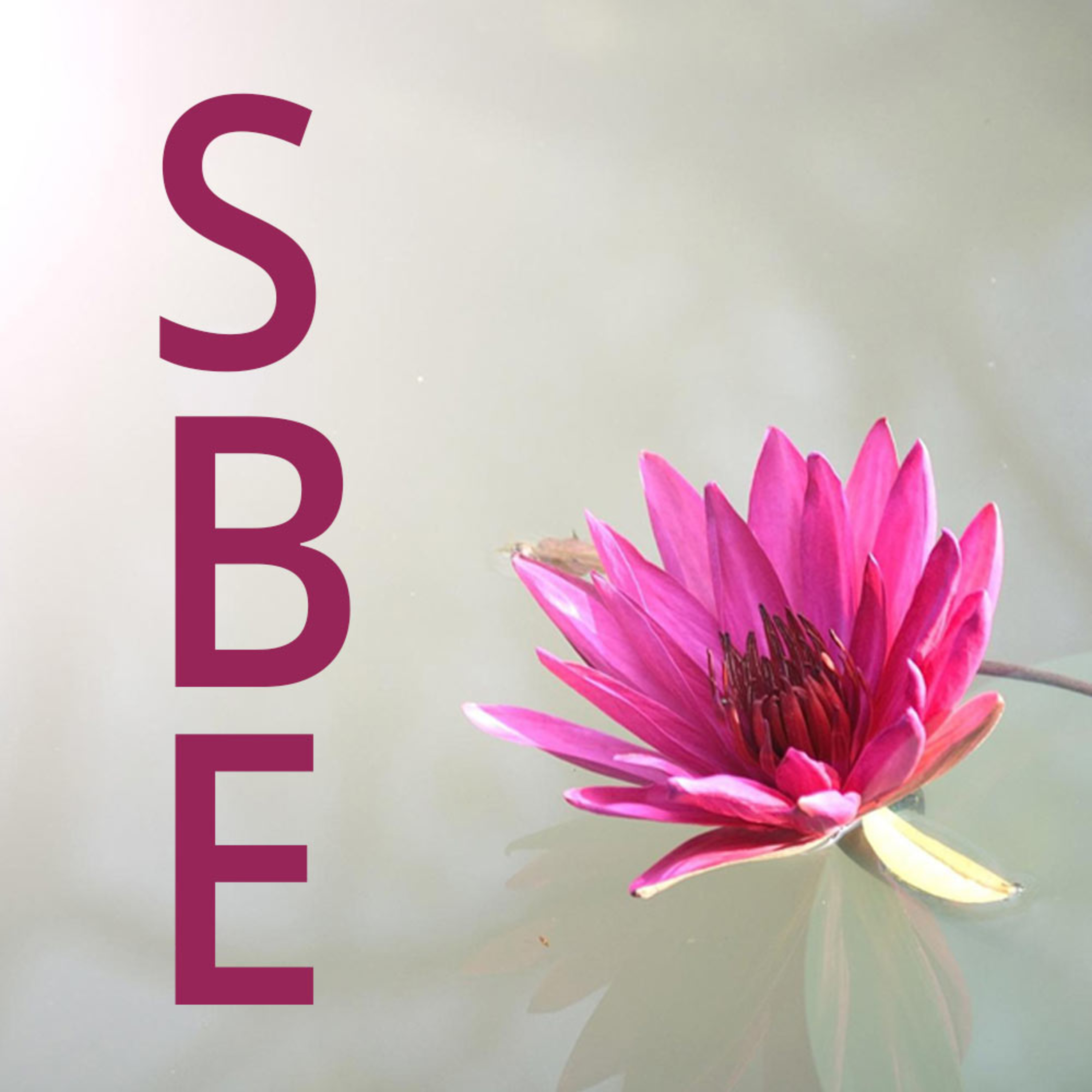 Karma - SBE: Episode 26 episode artwork