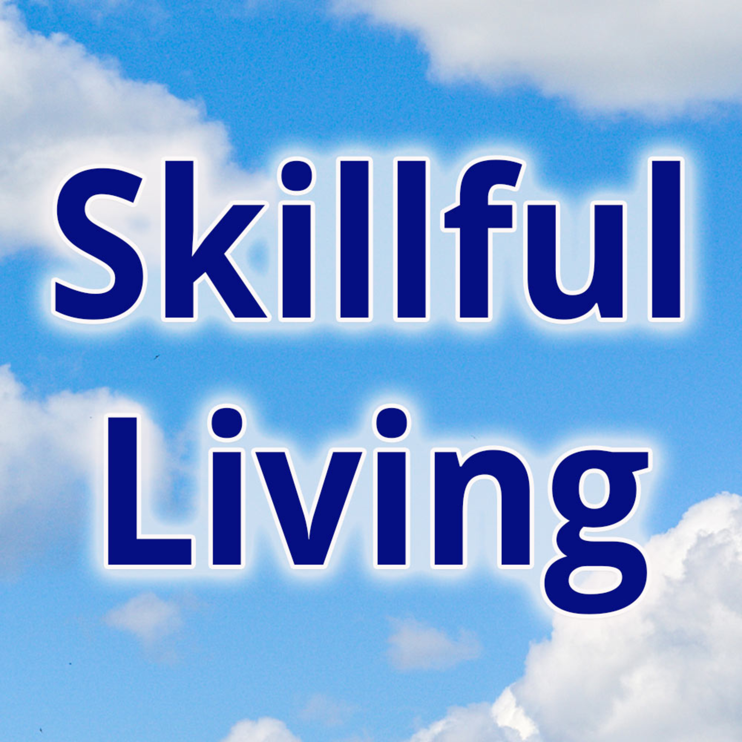 Skillful Living Week-4 / Lesson-8 episode artwork