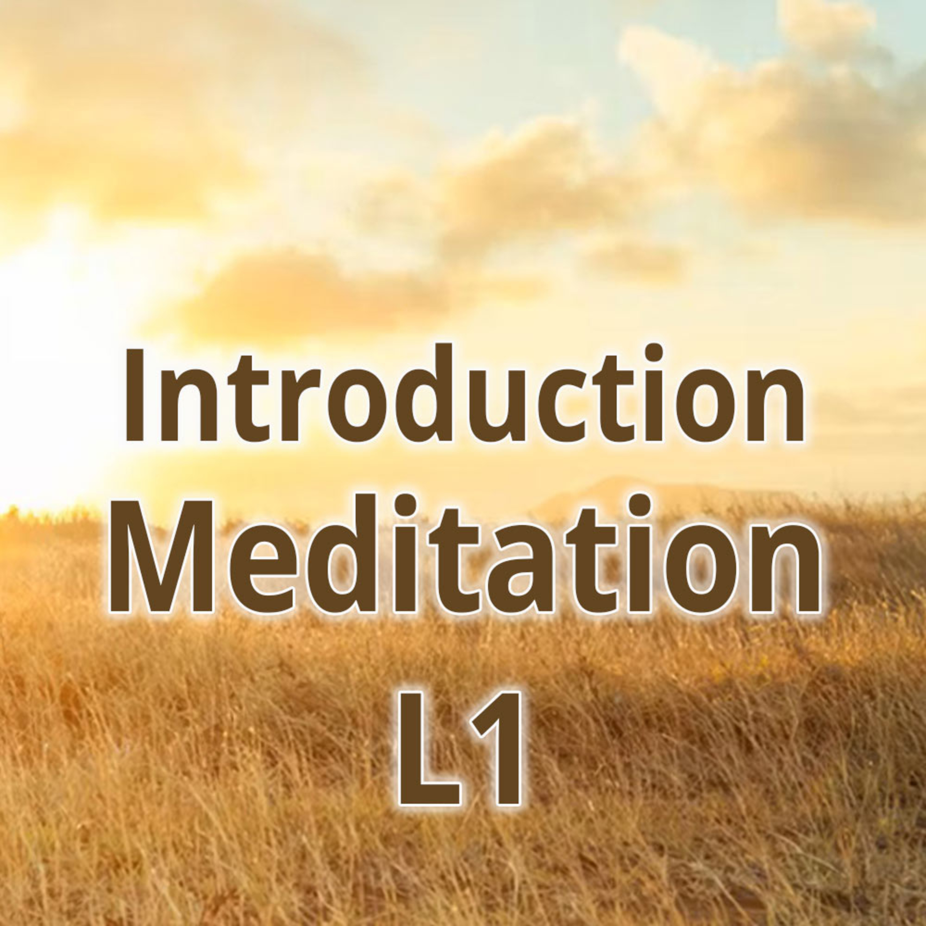 Level 1 - Week 1 - Introduction to Meditation episode artwork