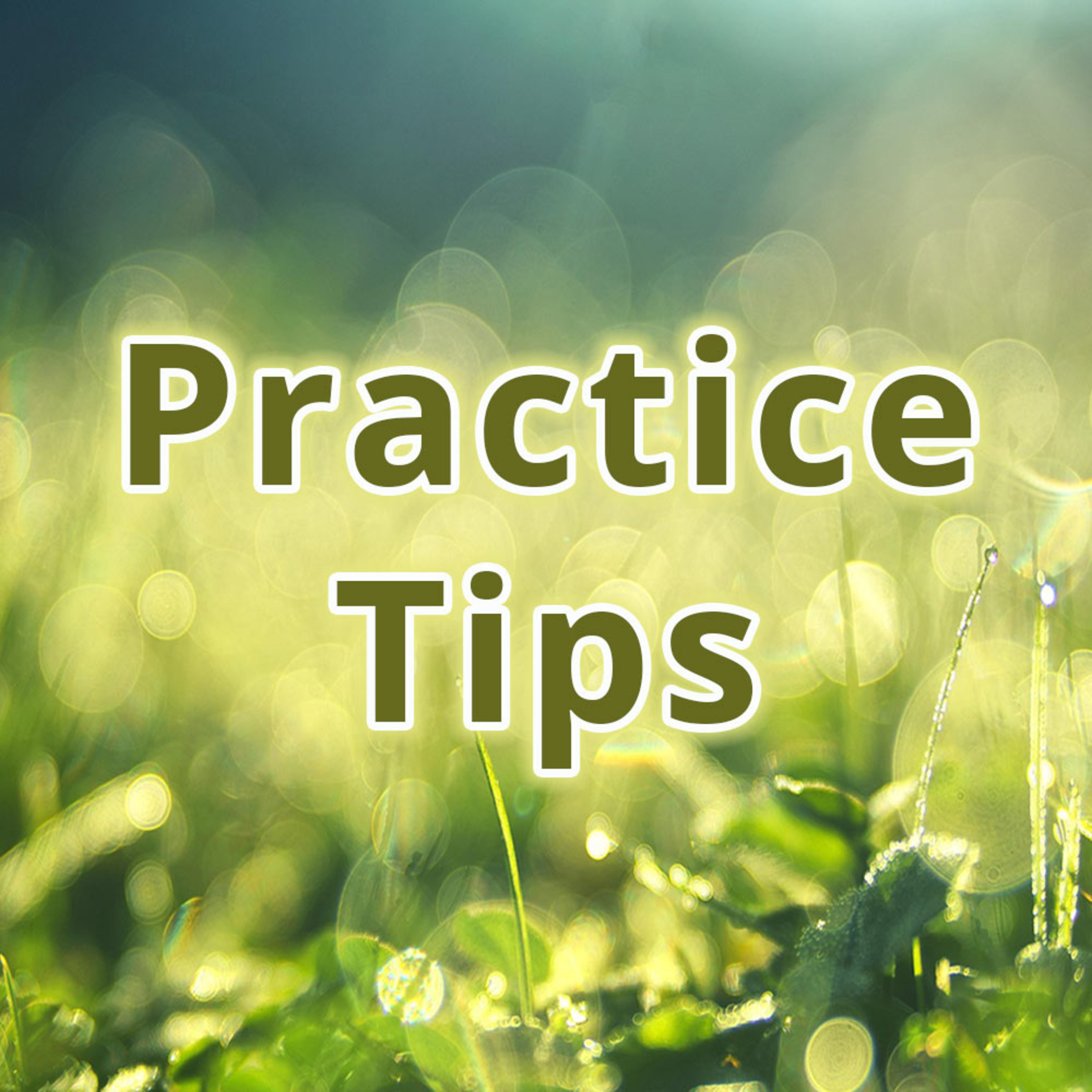 The Role of Virtue in Practice - Practice Tips episode artwork