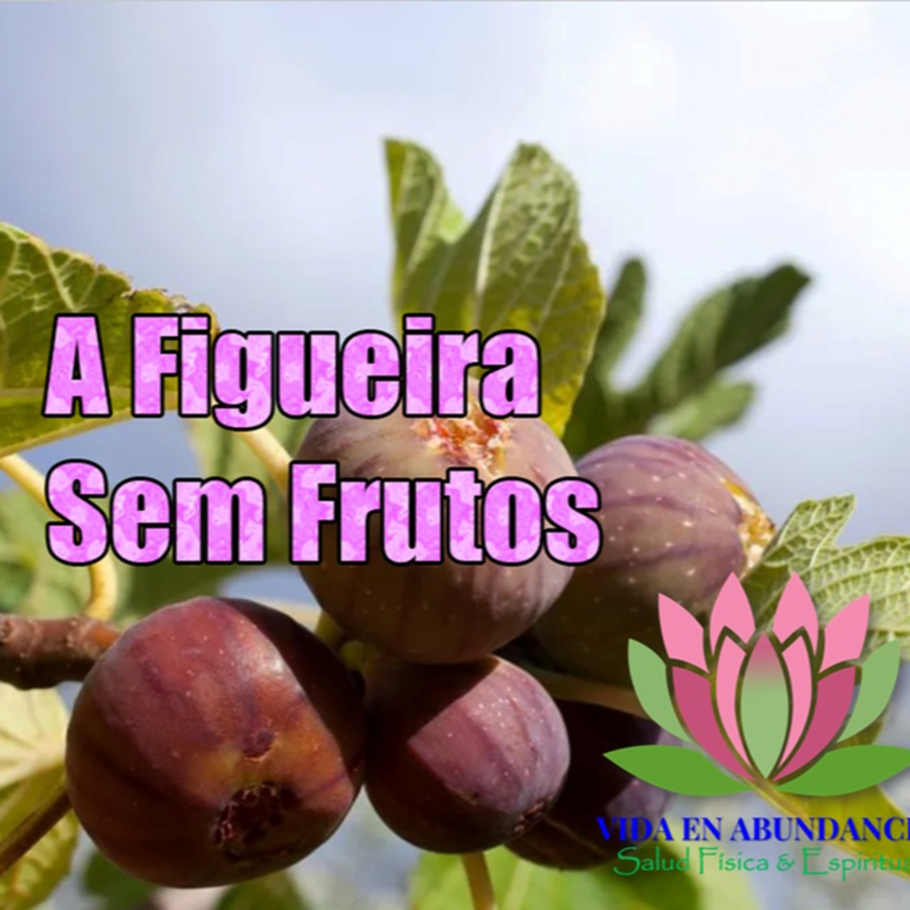 Figueira Sem Fruto episode artwork