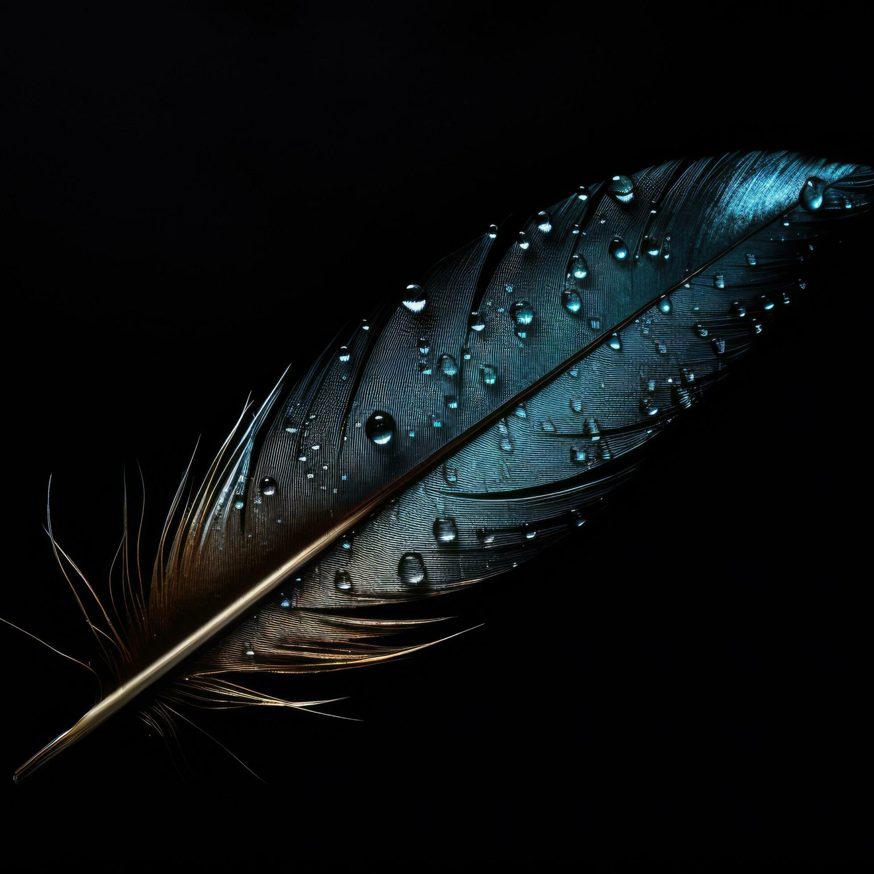 Feathers by BLiSS or MiSS