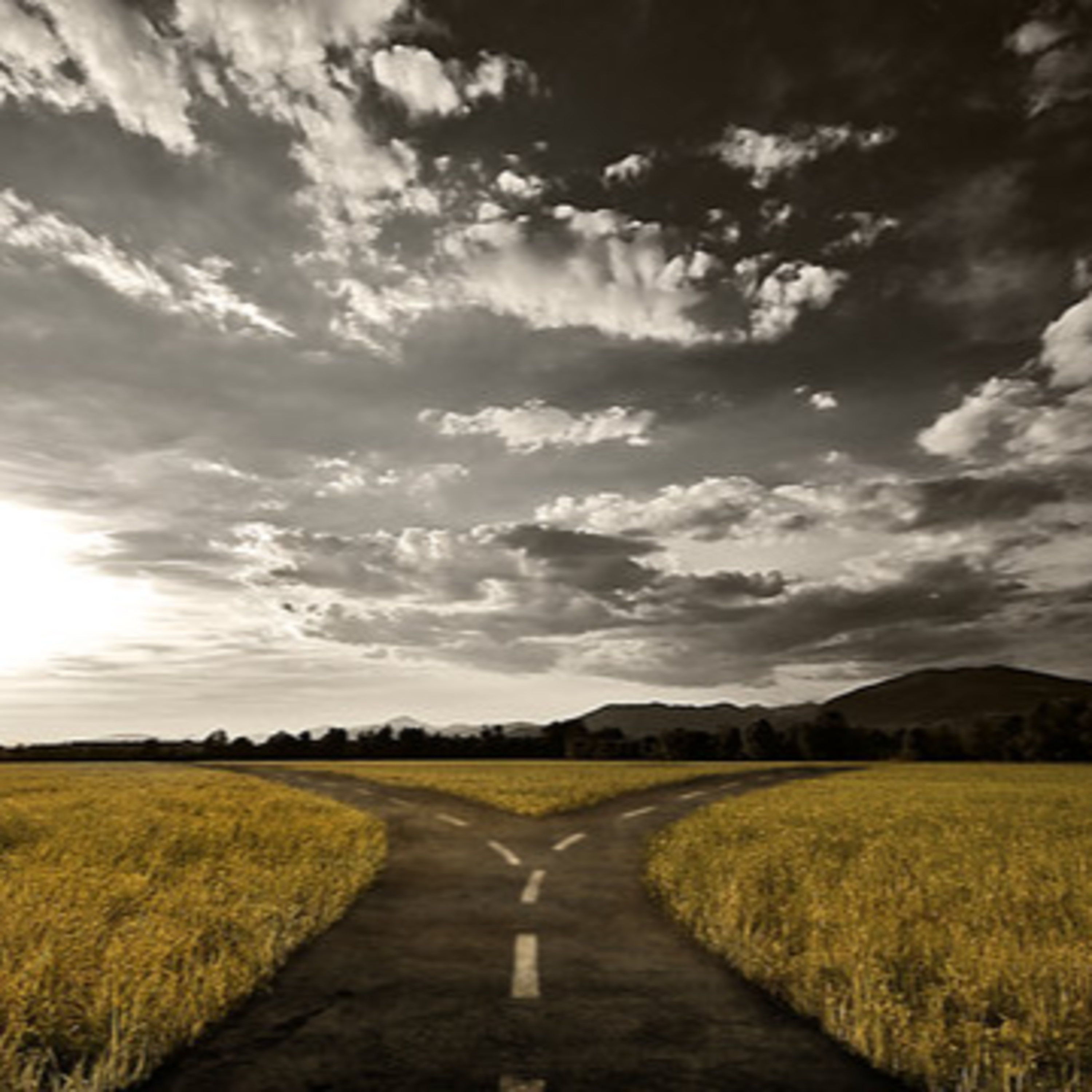 Choices by BLiSS or MiSS