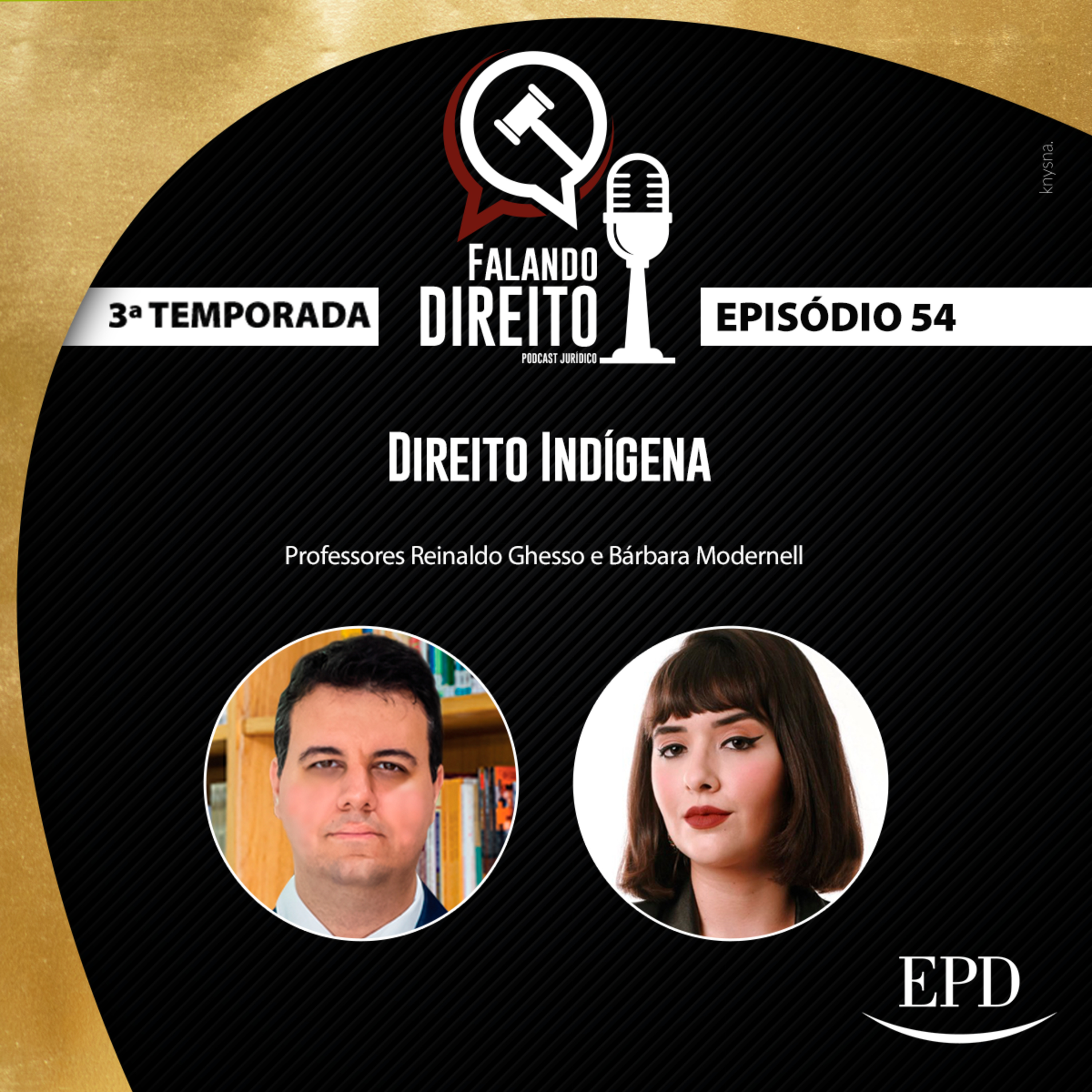 Falando Direito