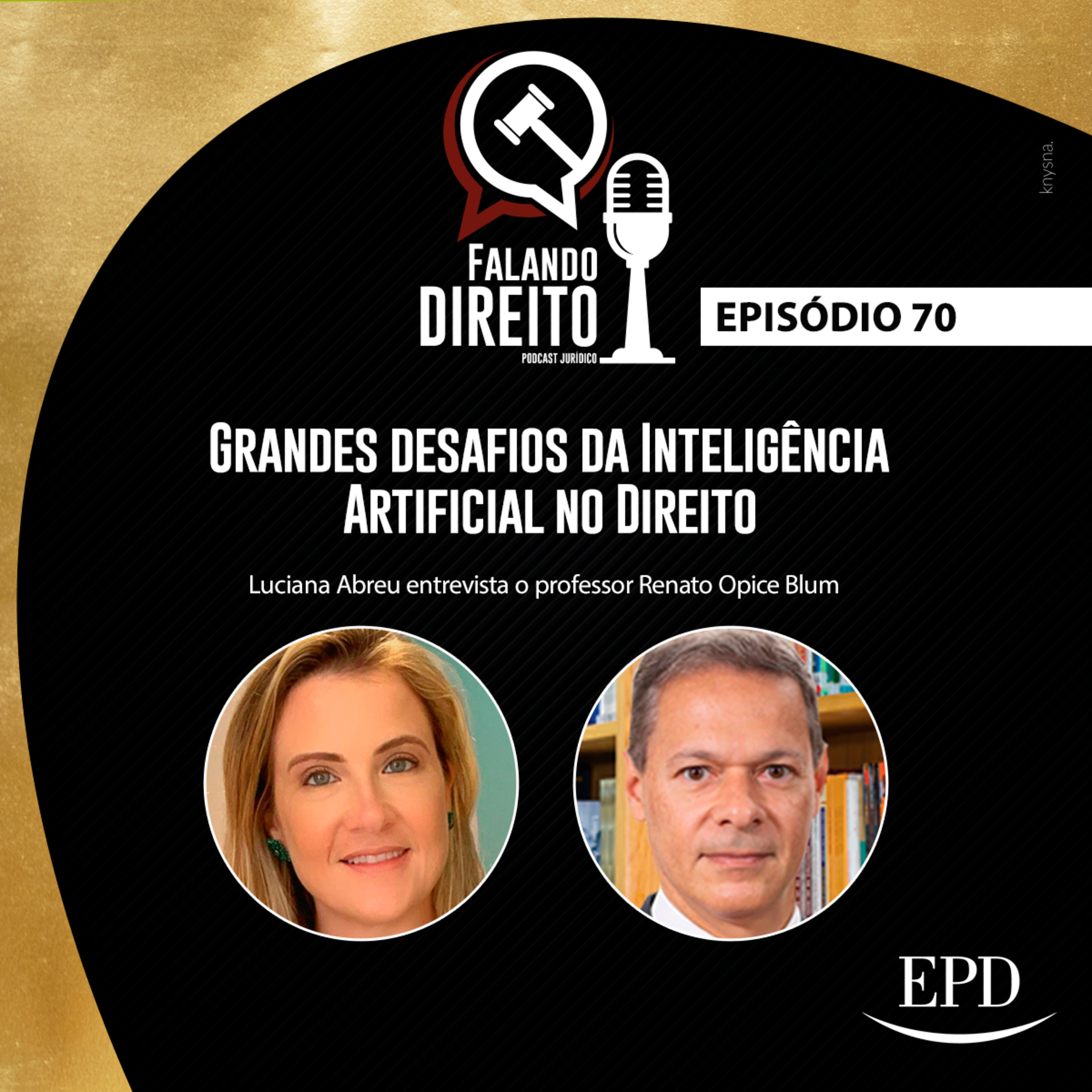 Falando Direito