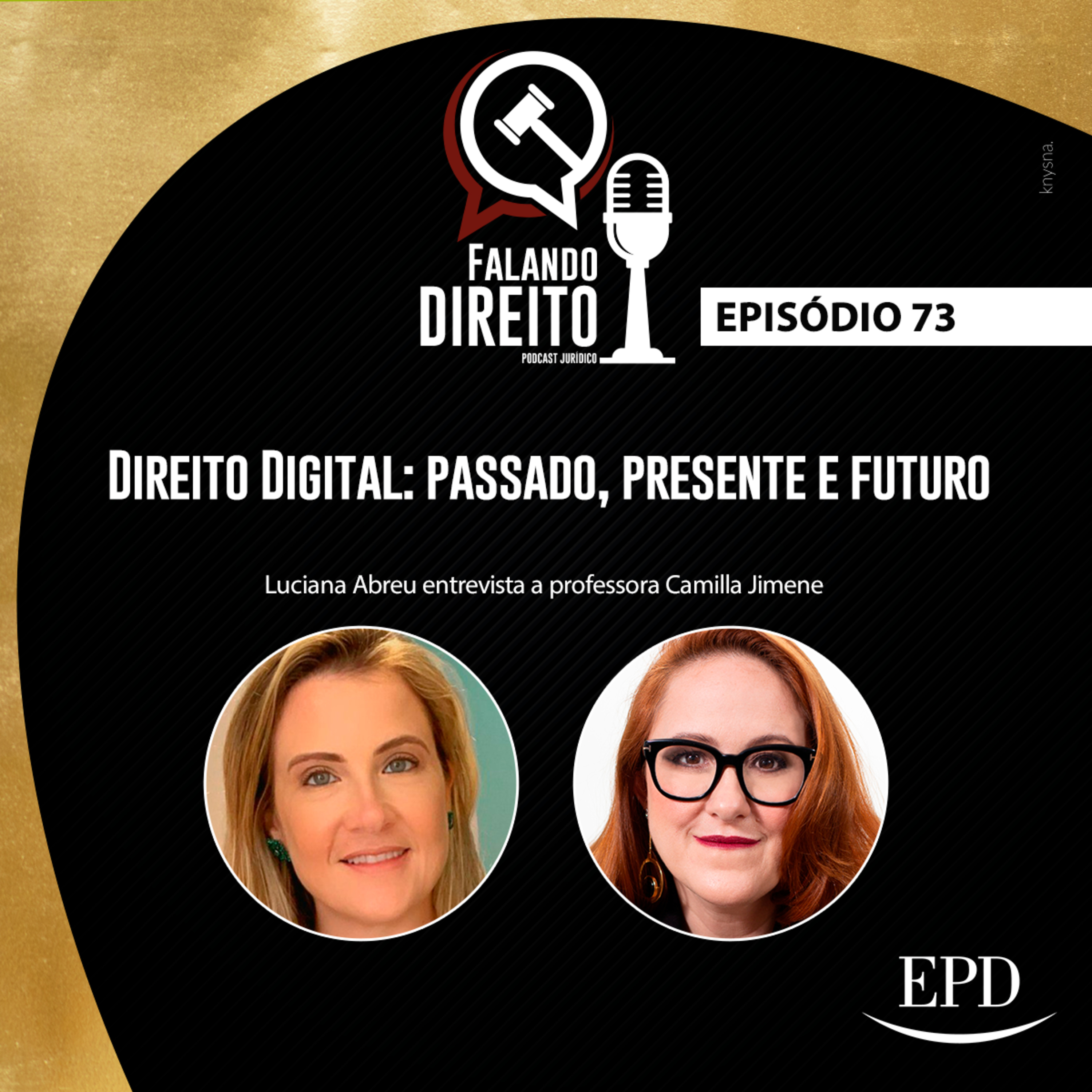 Falando Direito