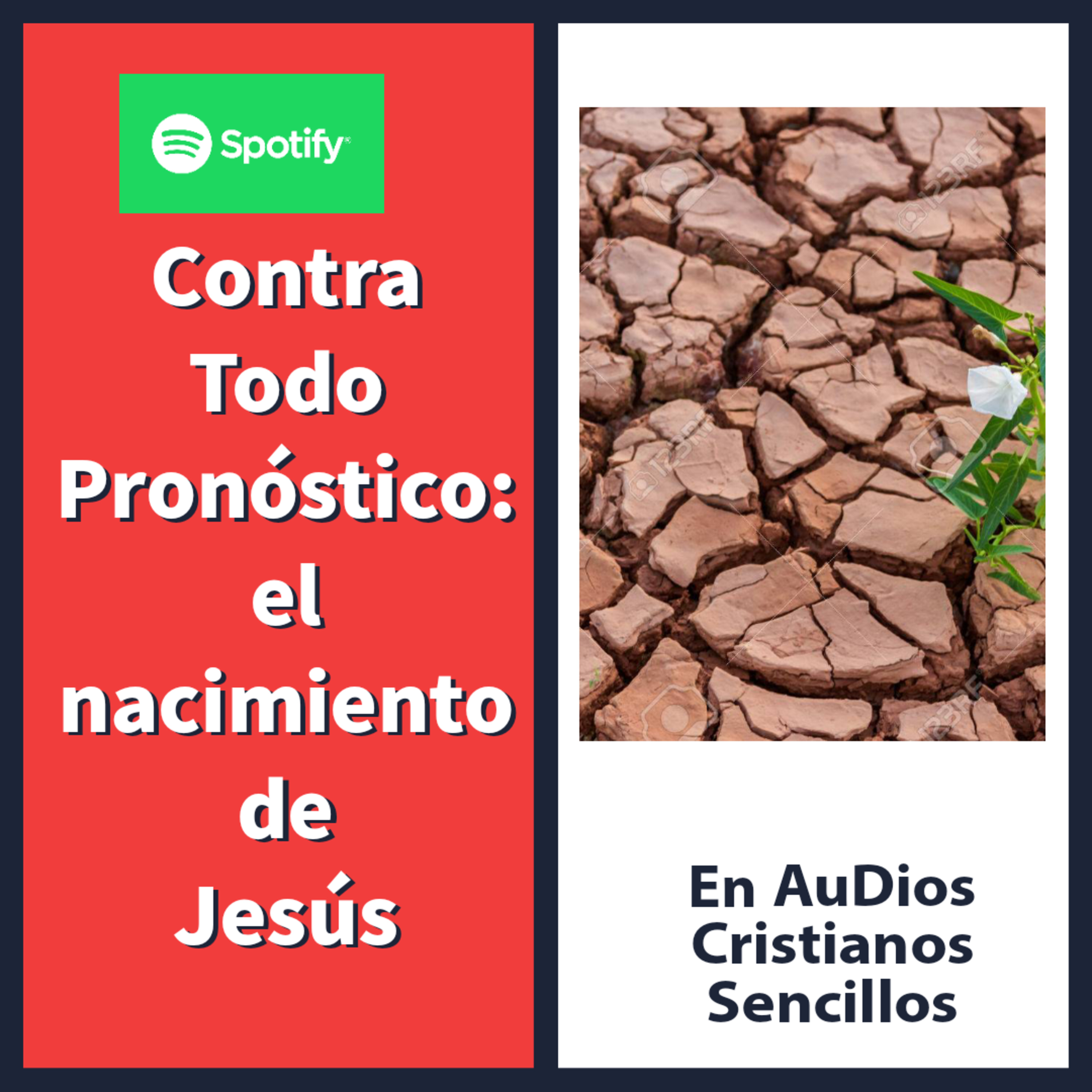 Portada de AuDios Cristianos Sencillos