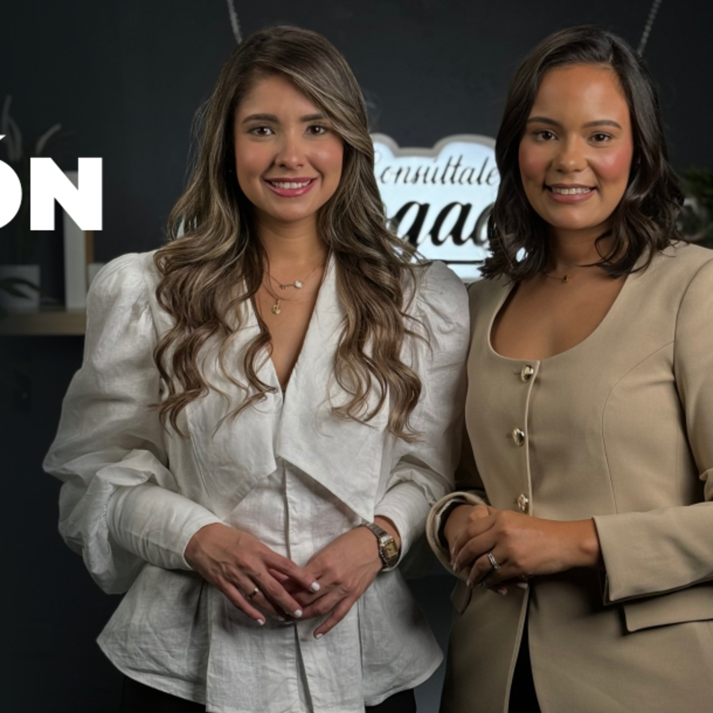 Consulta 14 – Acciones de una empresa en un proceso de divorcio con Laura Méndez.