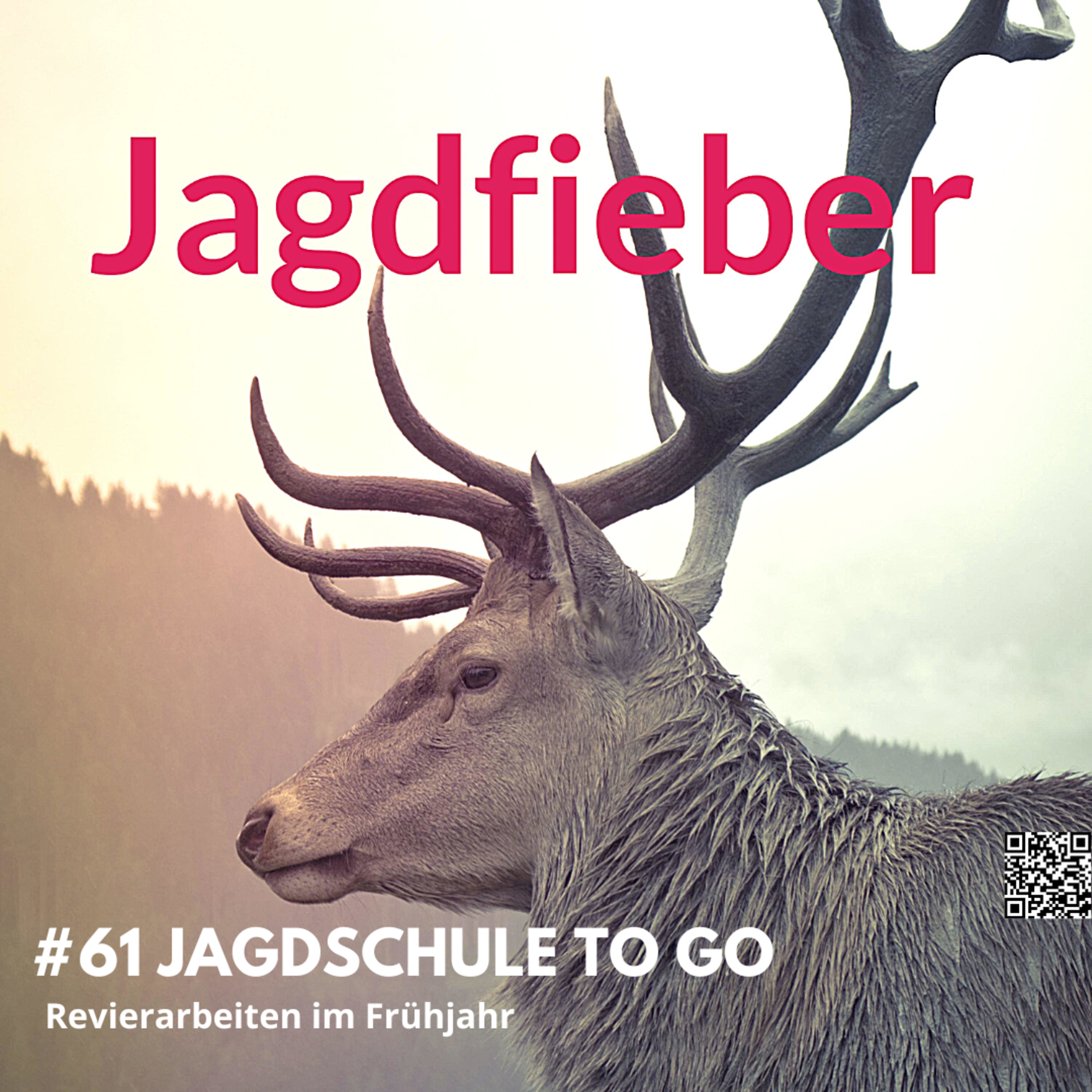 #61 Revierpflege im Frühling: Jäger im Einsatz für Wald und Wild episode artwork