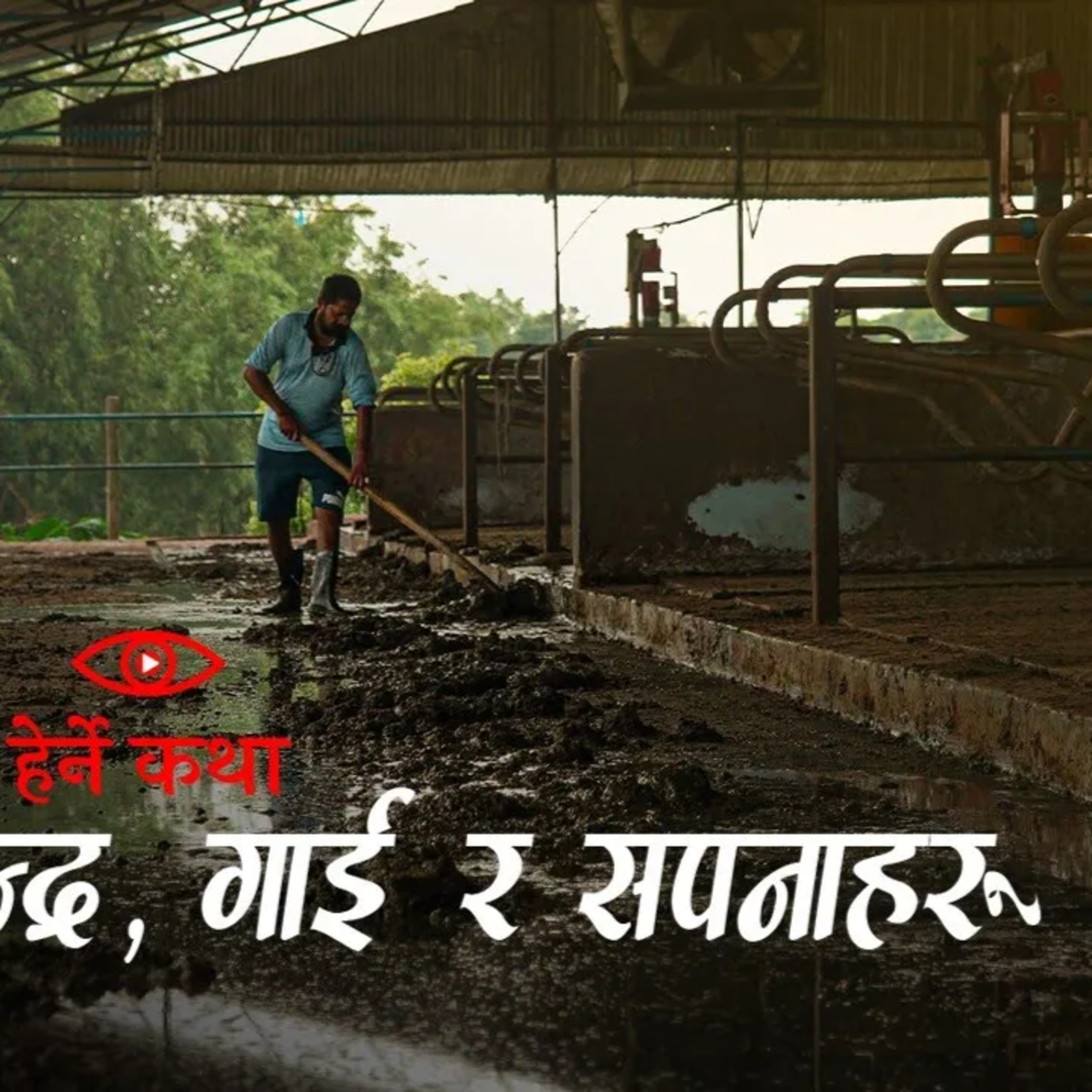 Gajendra, Gai ra Sapanaharu