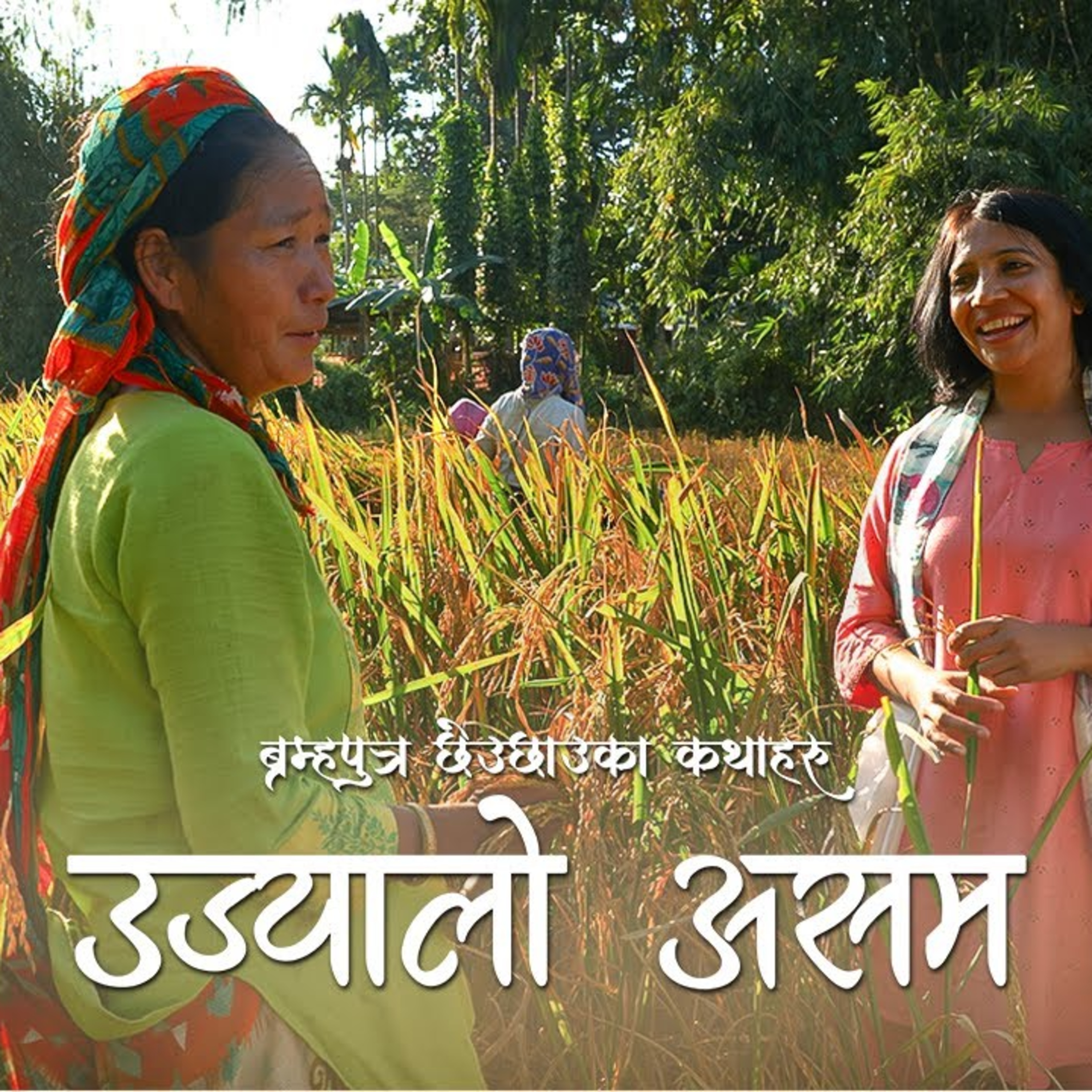 Ujyalo Assam