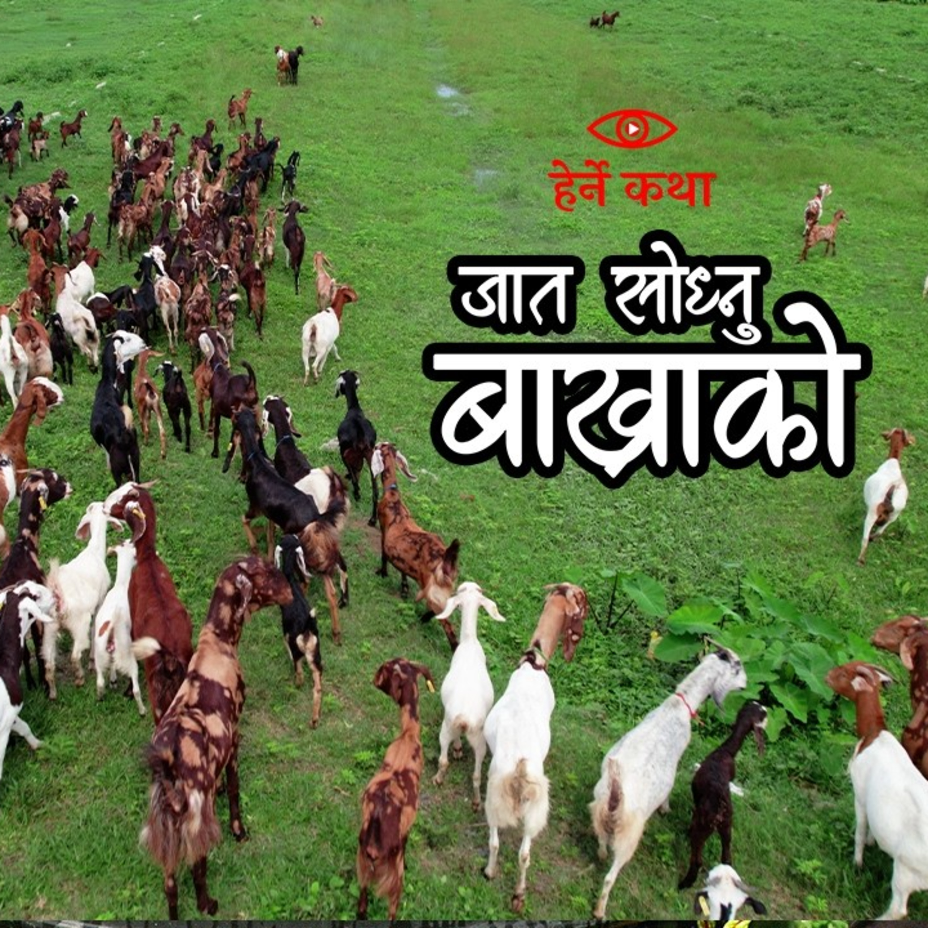 Jaat Sodhnu Bakhrako